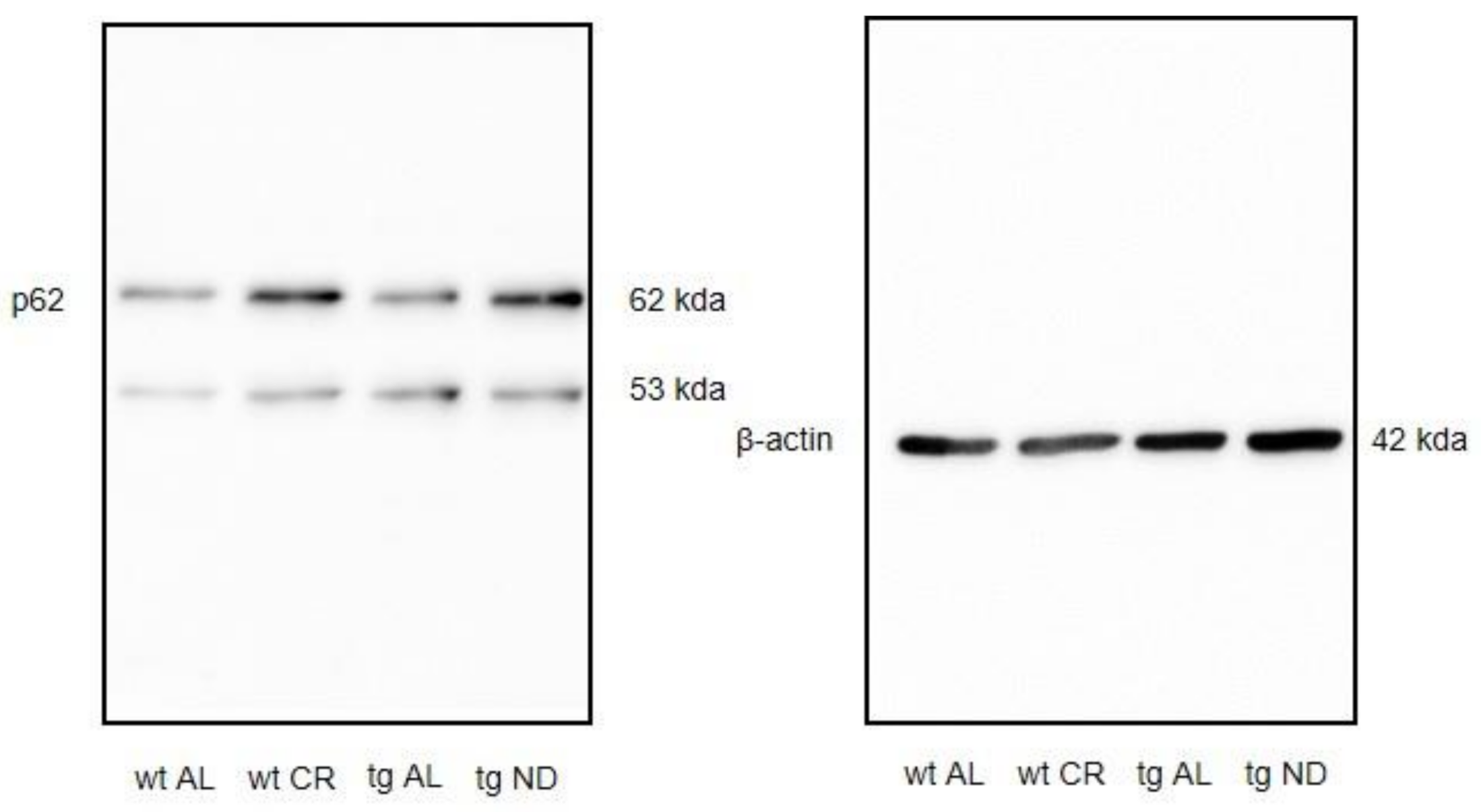 Nutrients 13 00985 g0a3 Nutrients 13 00985 g0a3