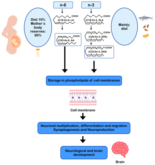 Nutrients 13 00986 g002 550