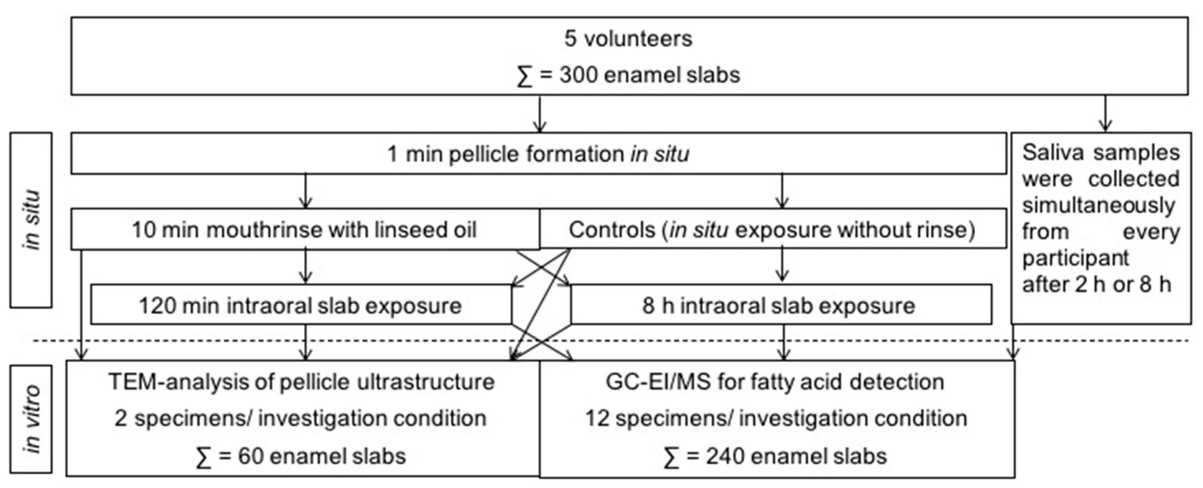 Nutrients 13 00989 g001