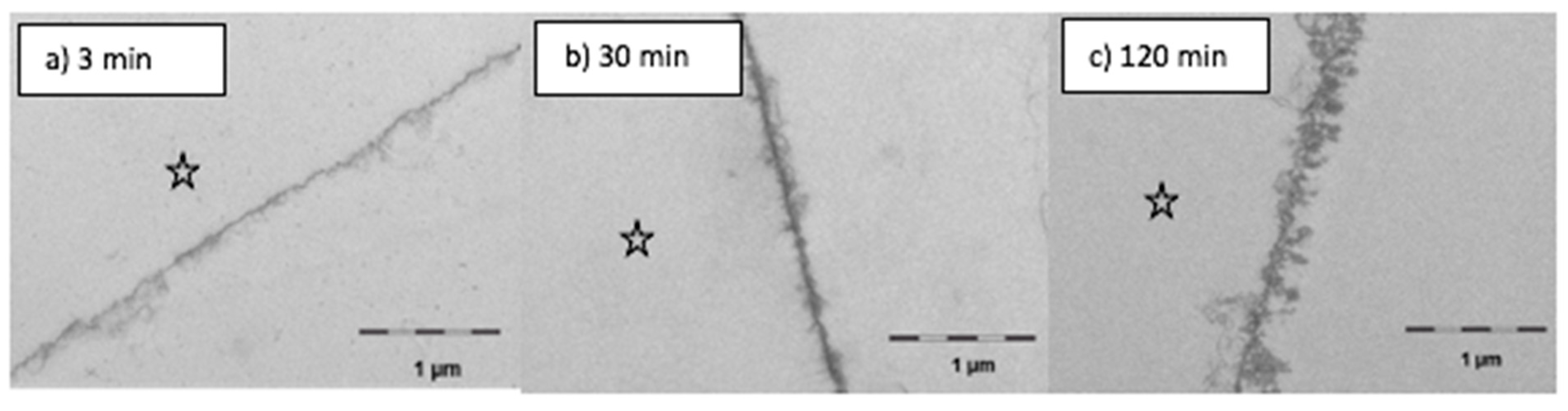 Nutrients 13 00989 g006