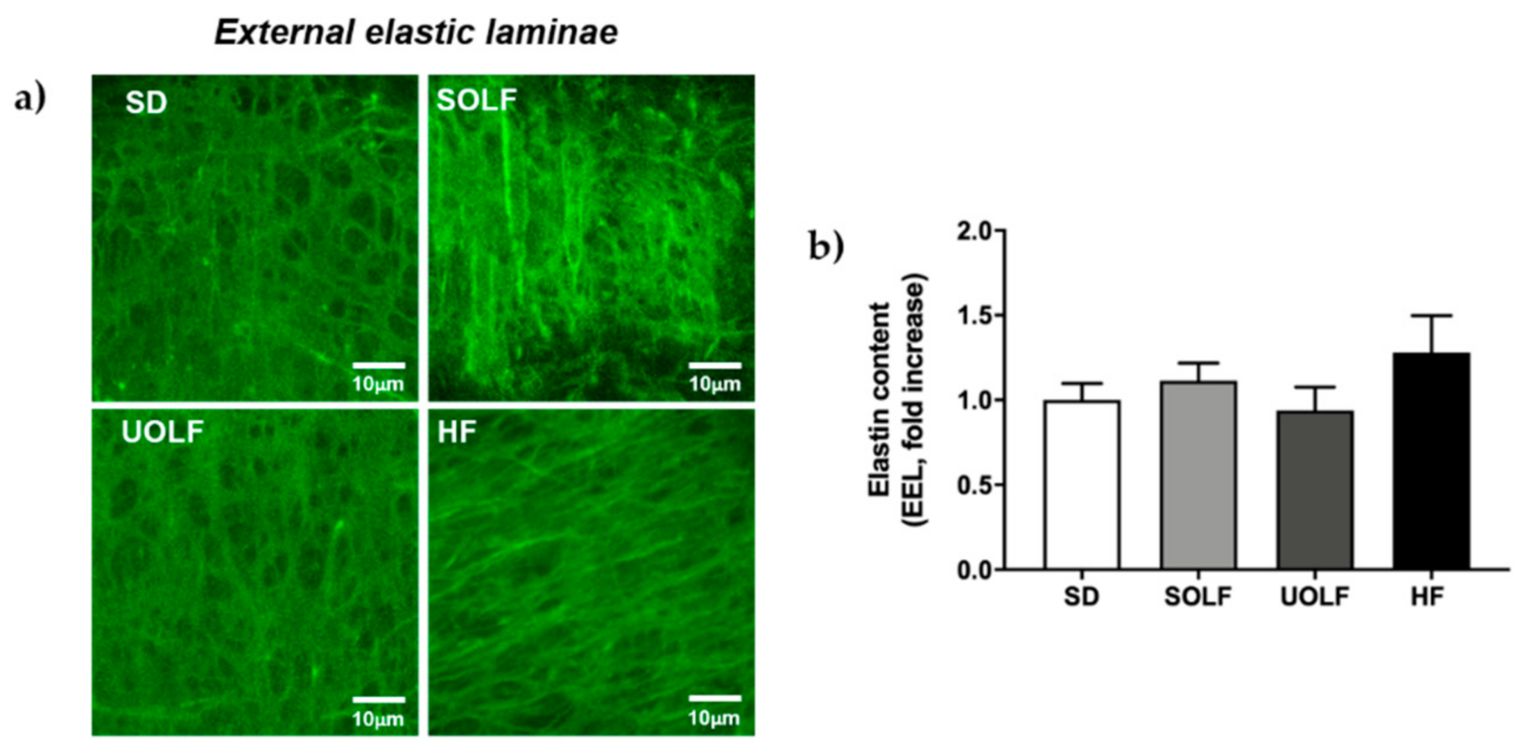 Nutrients 13 01003 g005 Nutrients 13 01003 g005