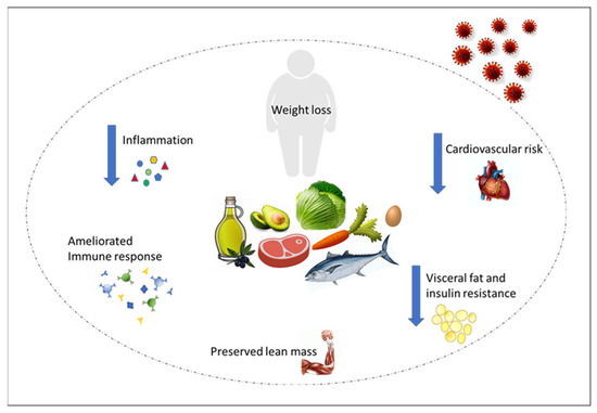 Nutrients | Free Full-Text | Ketogenic Diet as a Preventive and