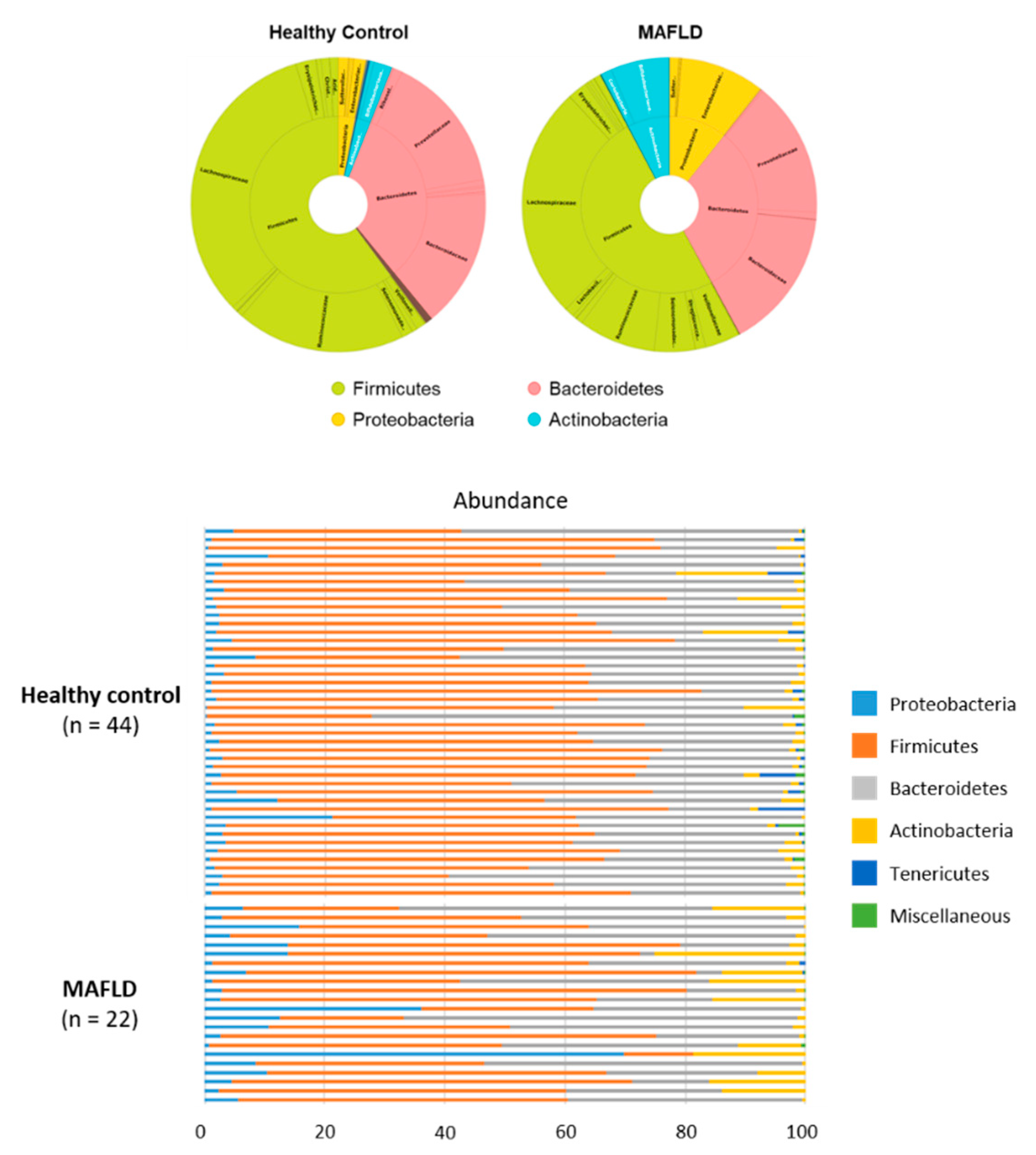Nutrients 13 01013 g002 Nutrients 13 01013 g002