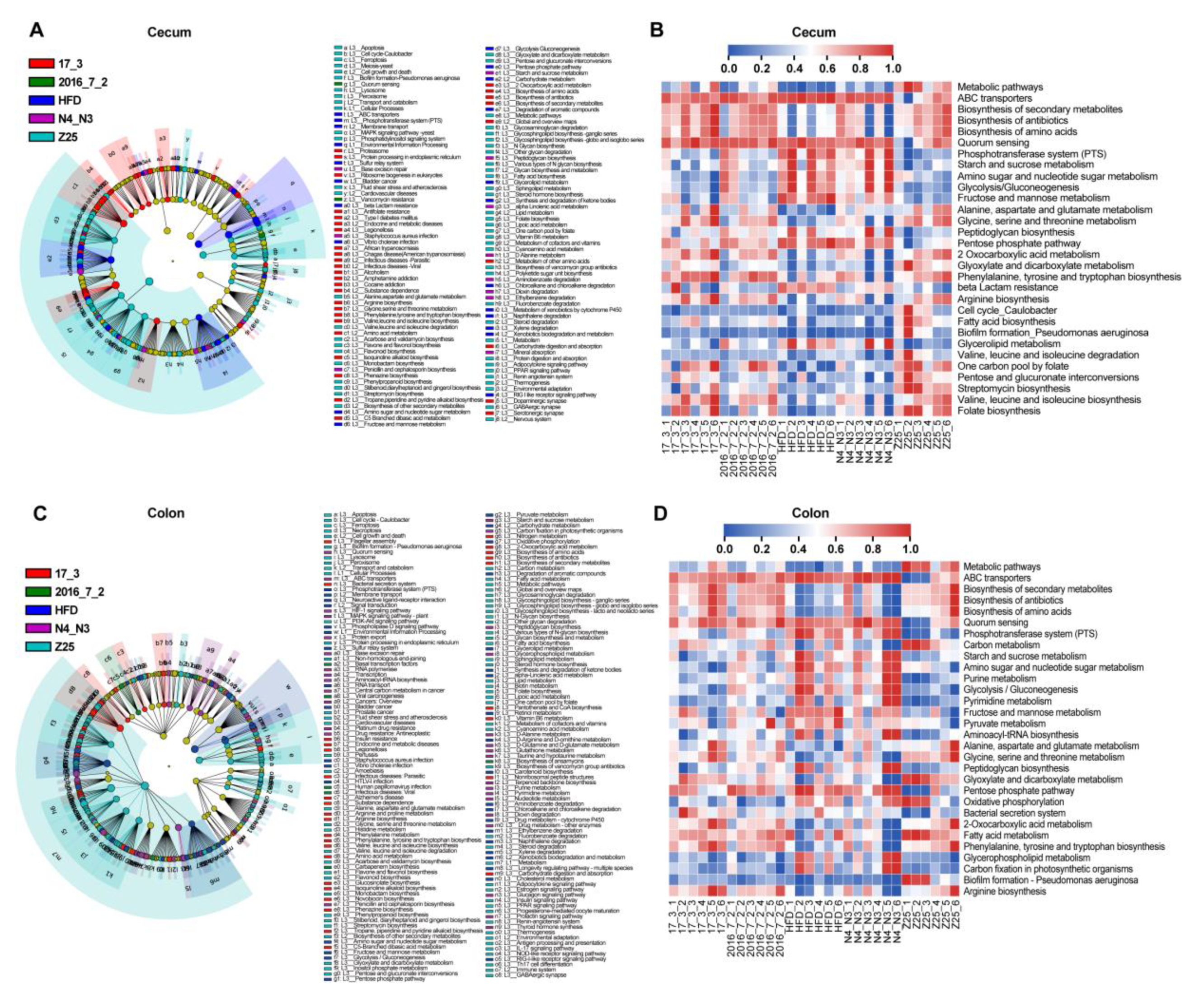 Nutrients 13 01017 g007 Nutrients 13 01017 g007