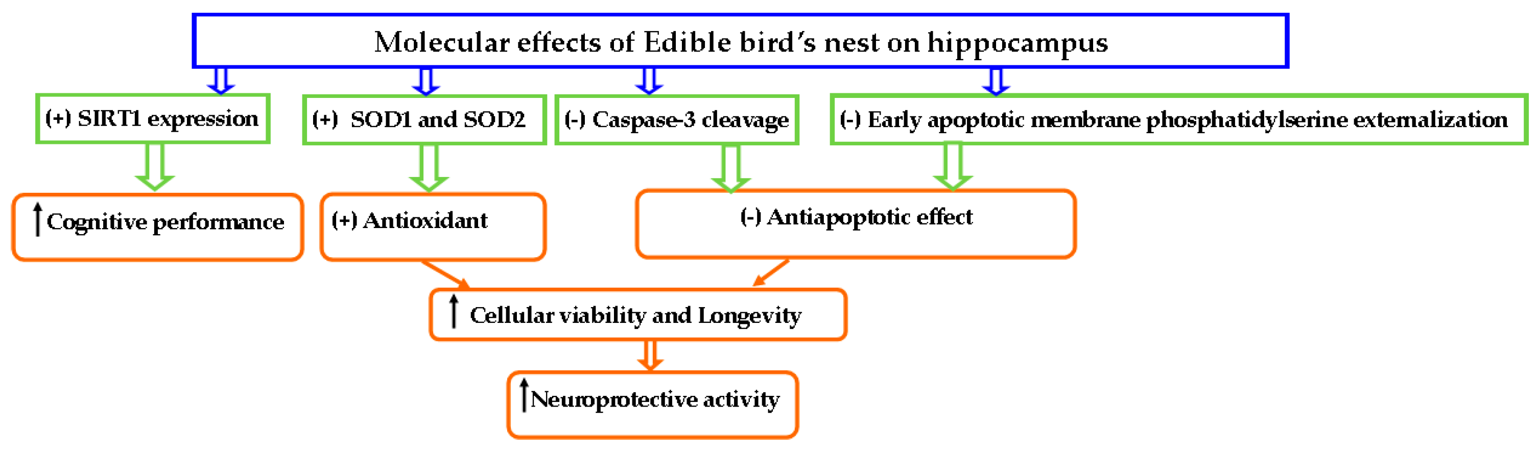 Nutrients 13 01028 g003 Nutrients 13 01028 g003