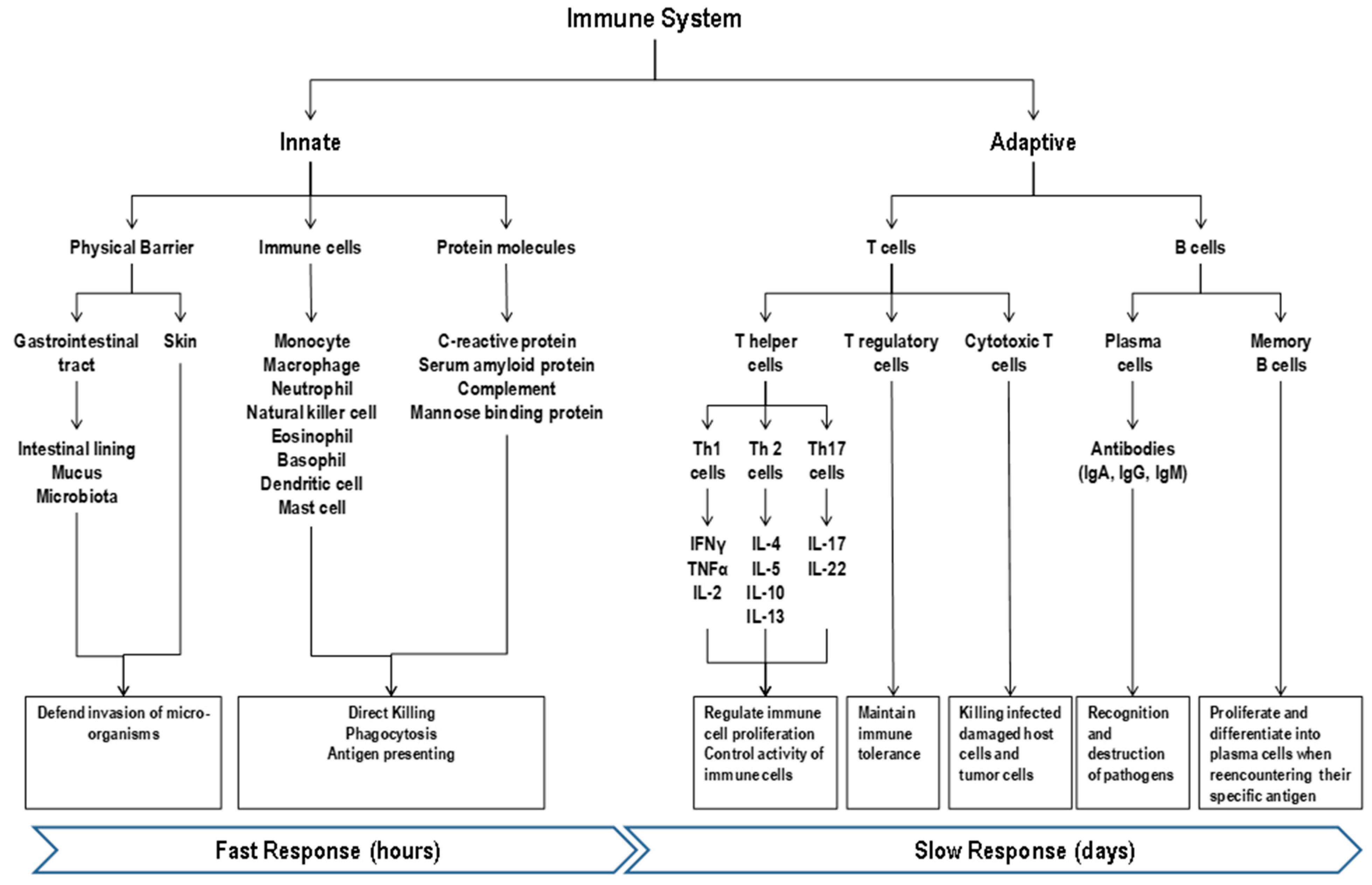 Nutrients 13 01048 g001