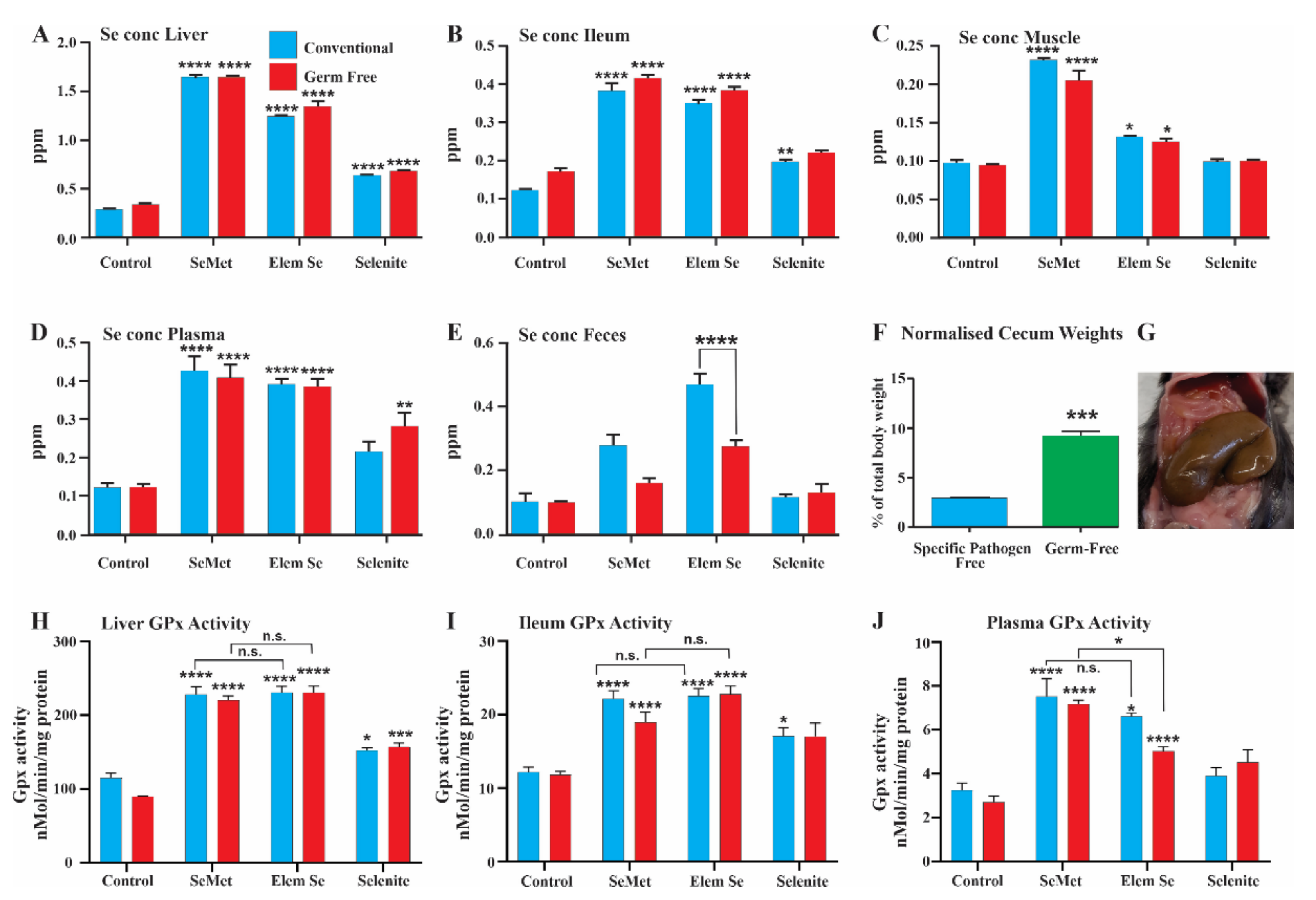 Nutrients 13 01073 g005 Nutrients 13 01073 g005