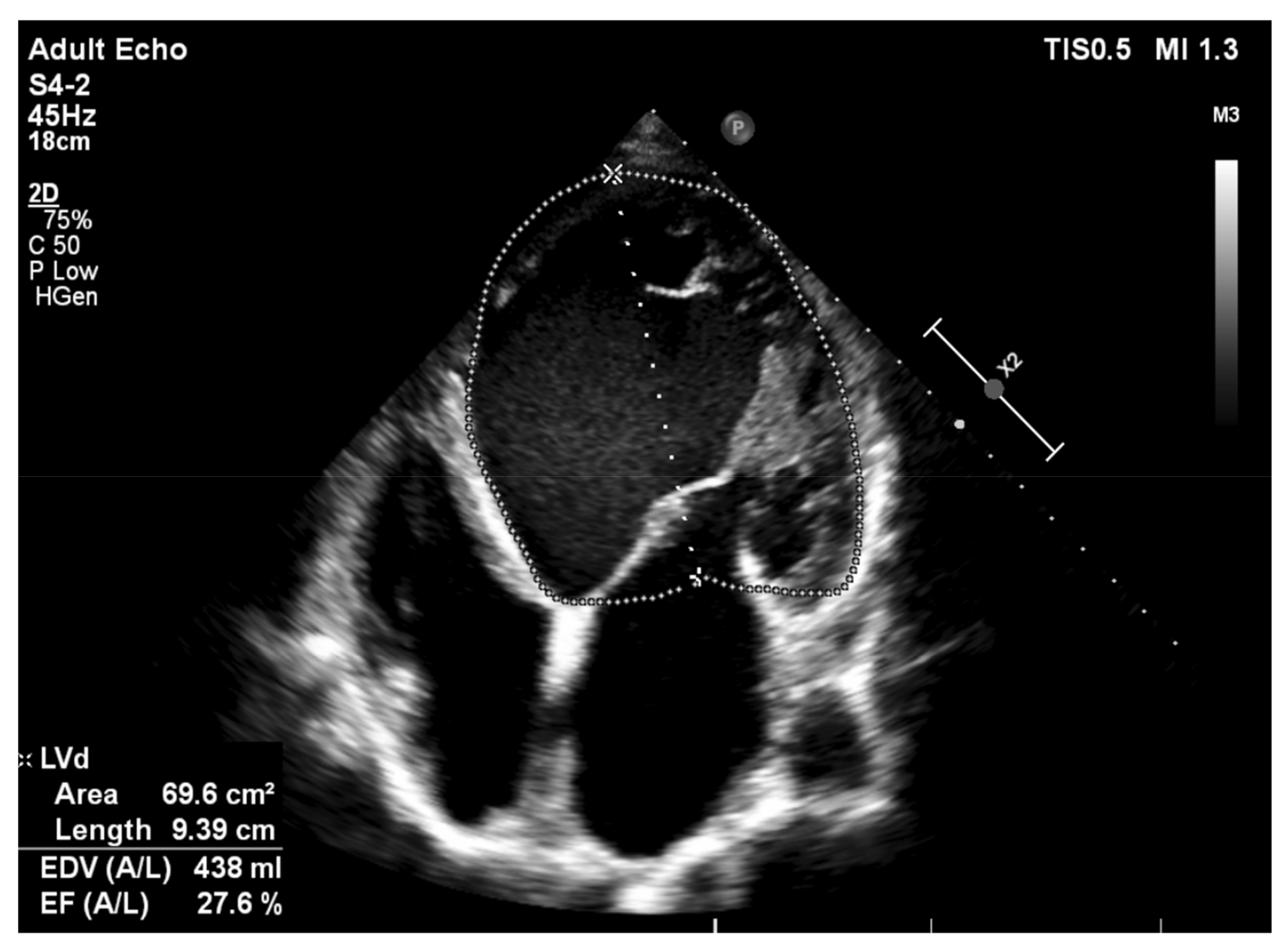Nutrients 13 01076 g003 Nutrients 13 01076 g003