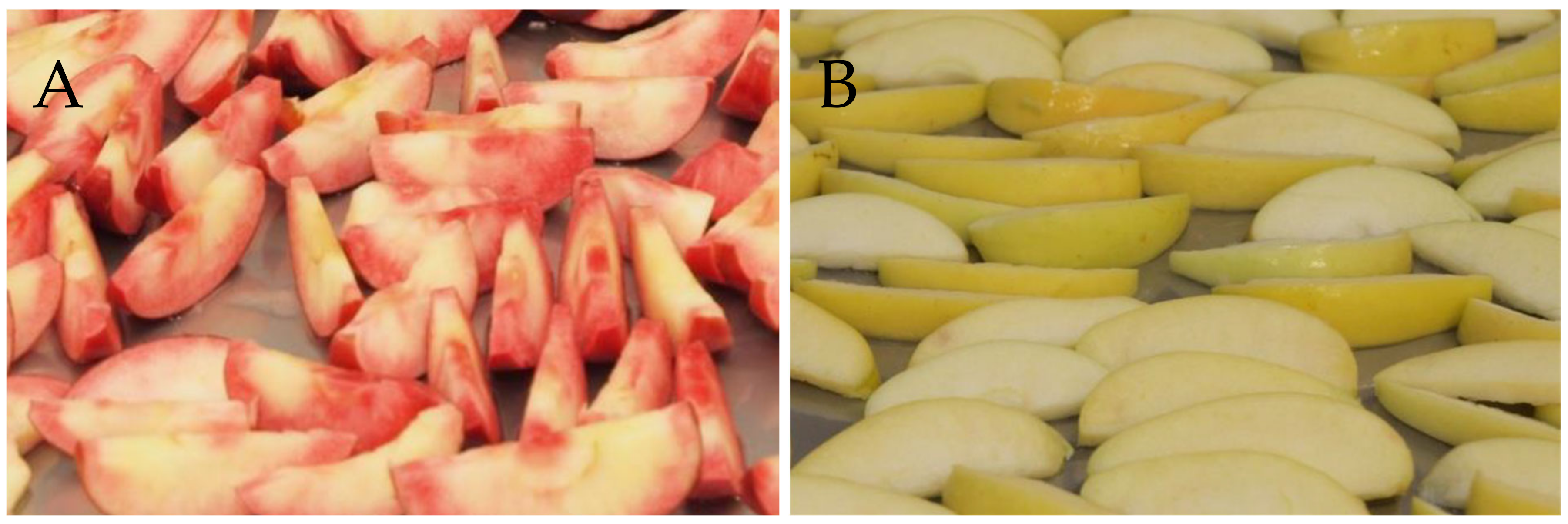 Breeding red-fleshed apples – introduction — Science Learning Hub