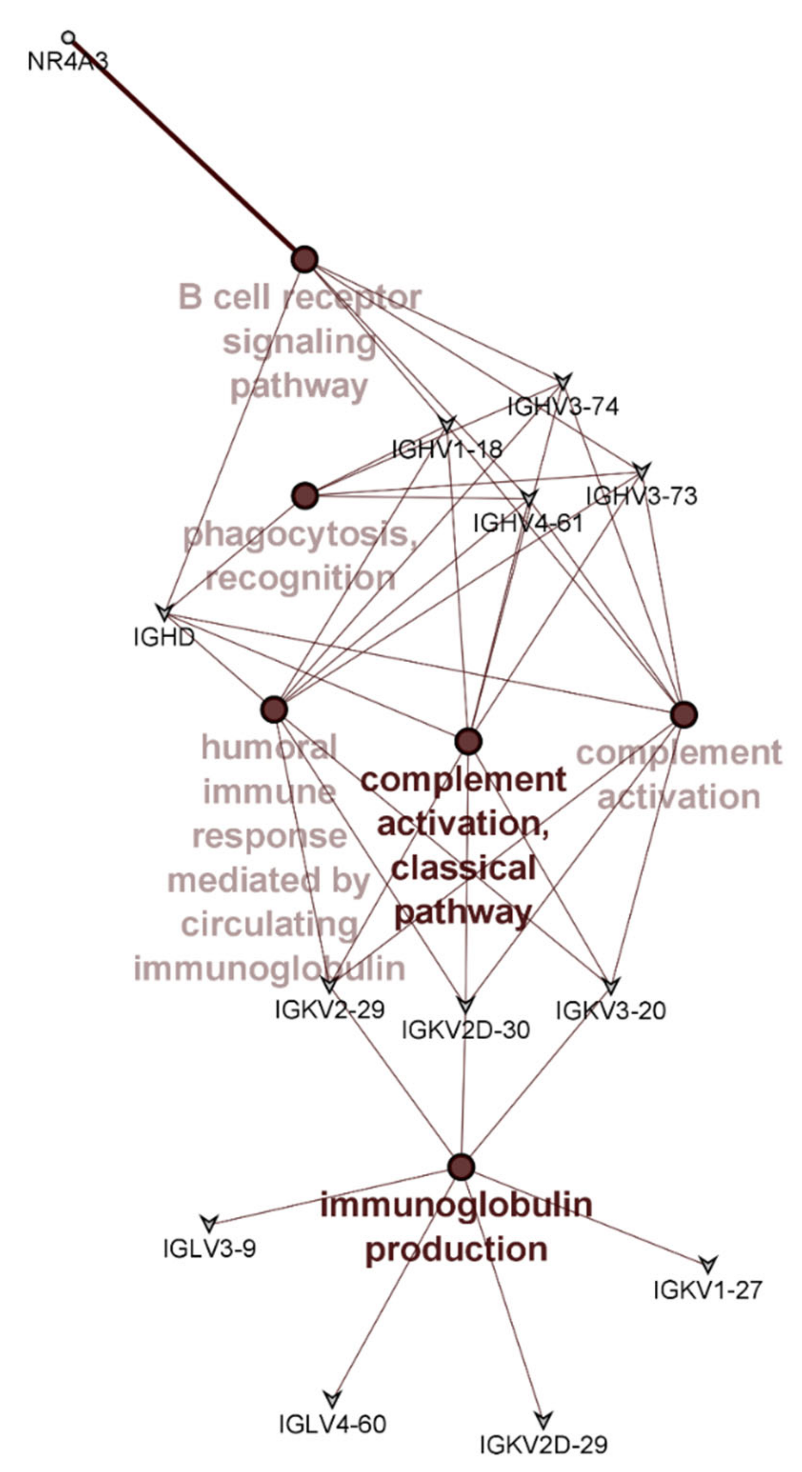 Nutrients 13 01092 g003 Nutrients 13 01092 g003