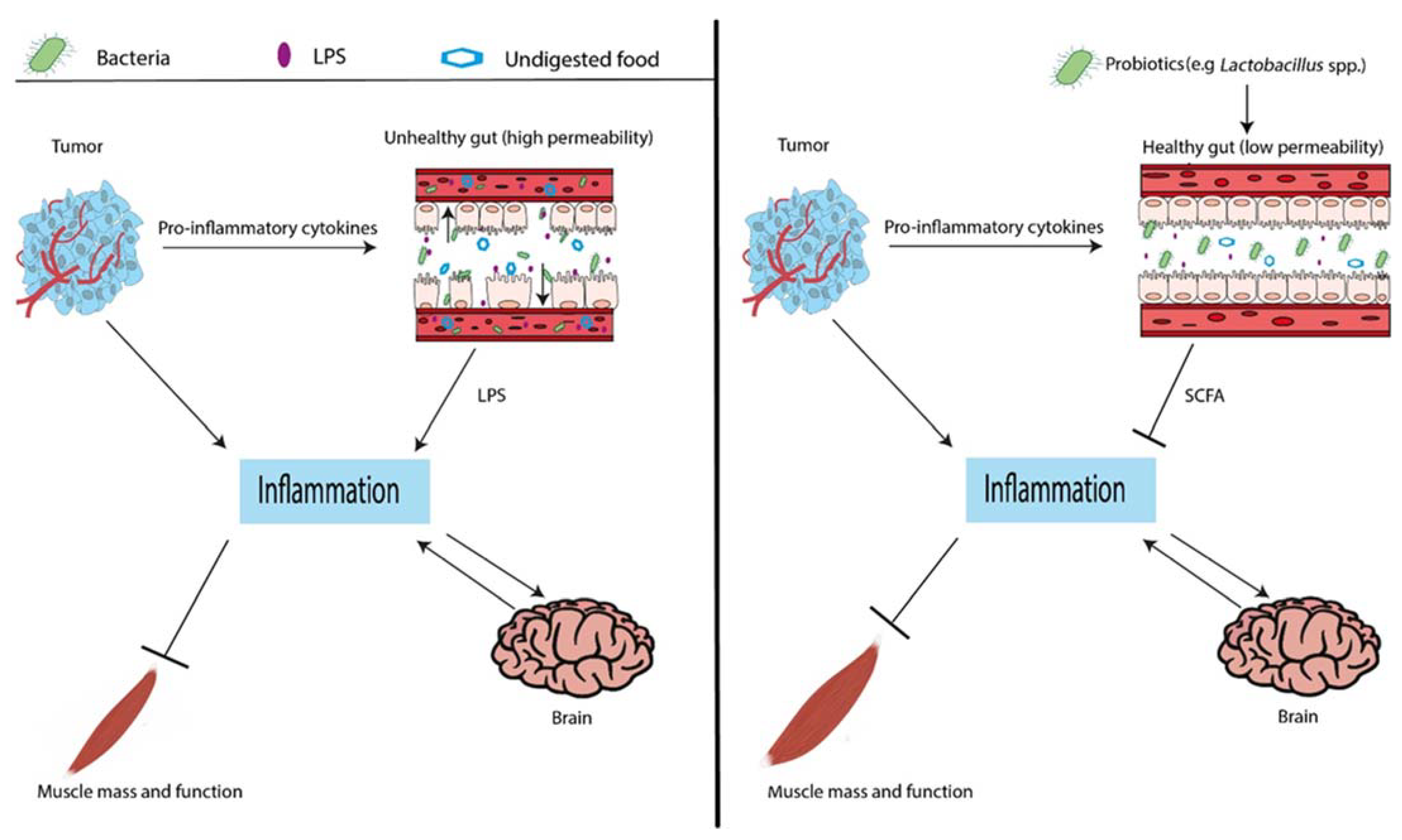 Nutrients 13 01115 g002