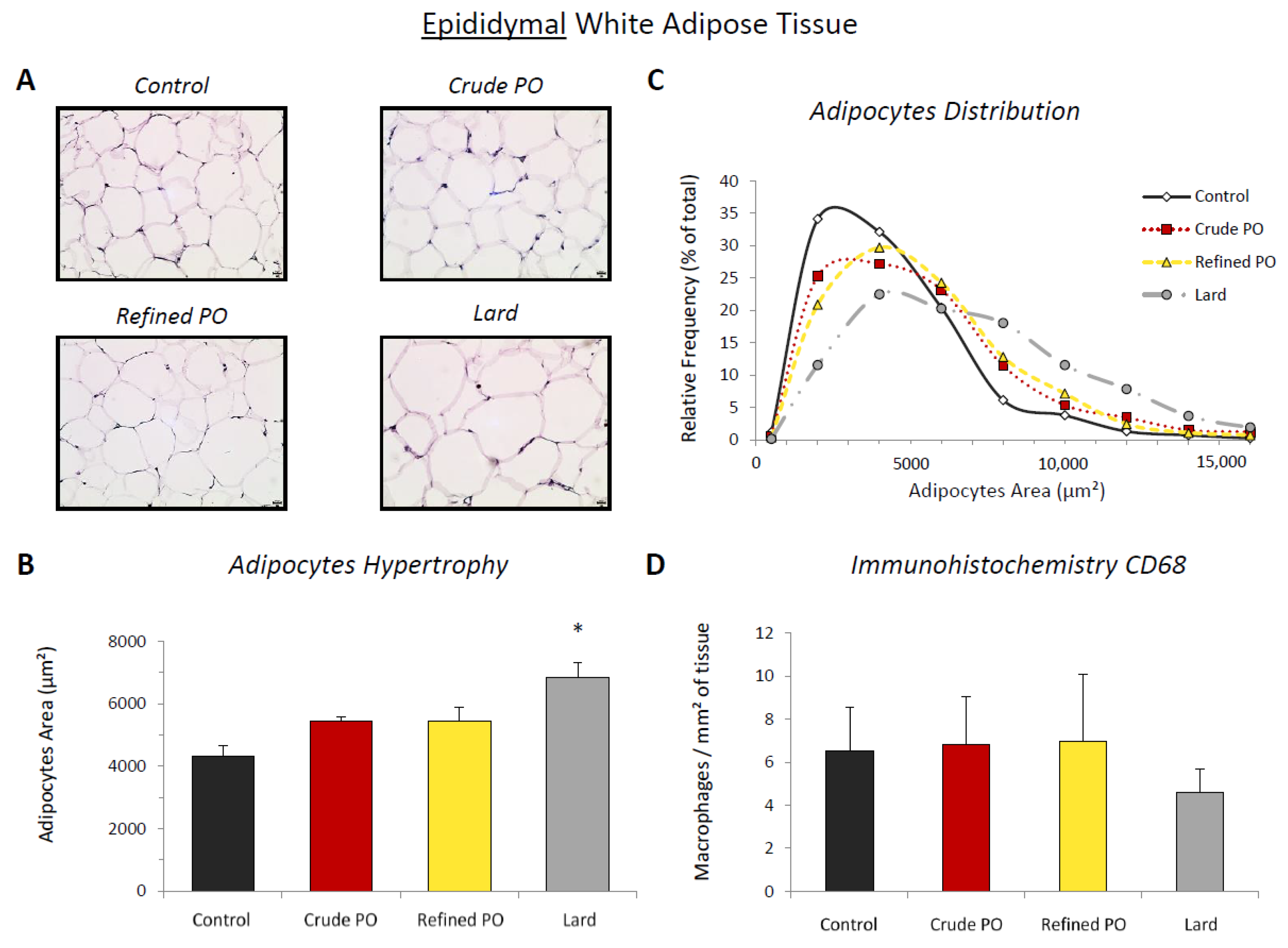 Nutrients 13 01134 g001 Nutrients 13 01134 g001