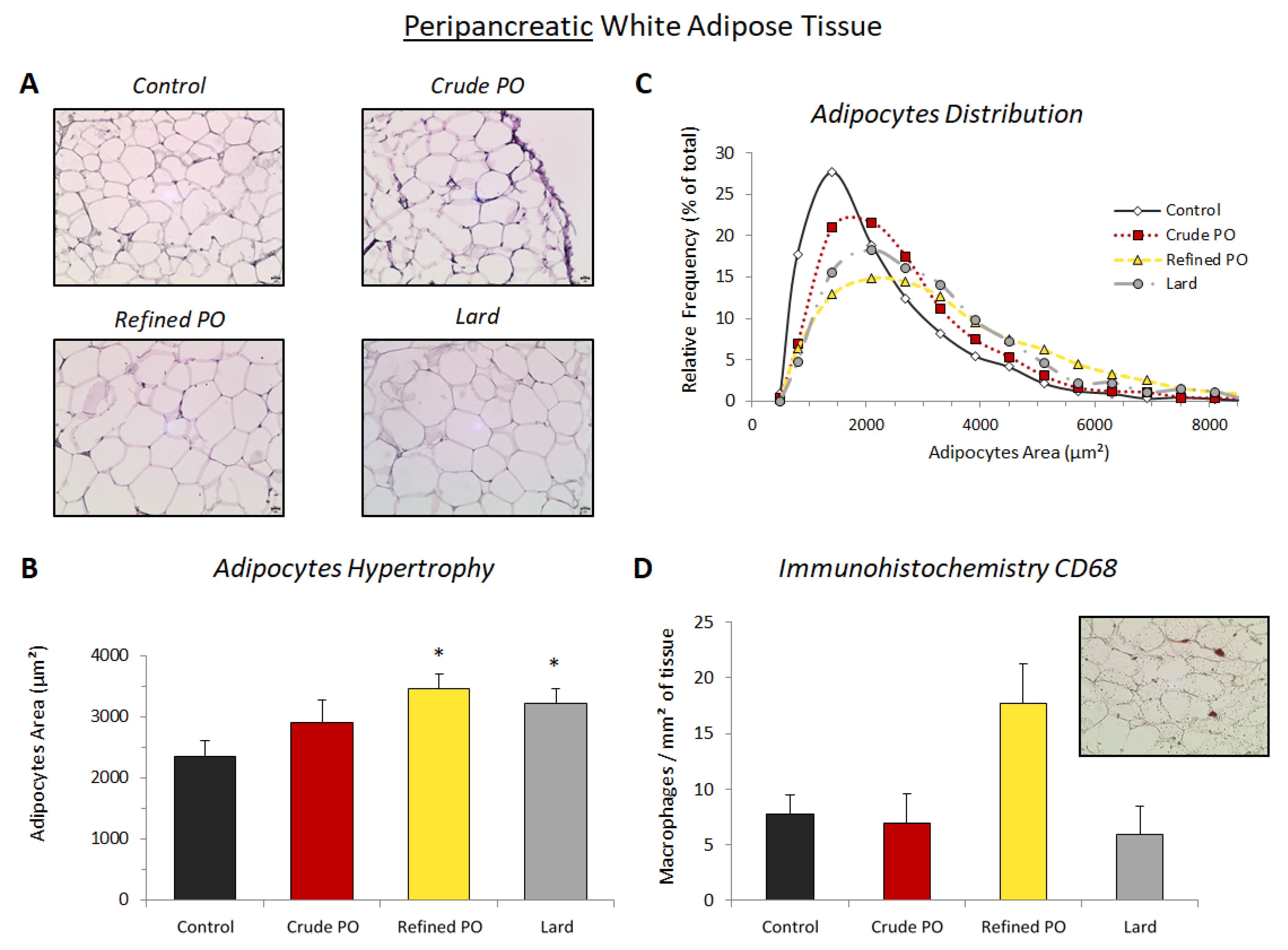 Nutrients 13 01134 g002 Nutrients 13 01134 g002