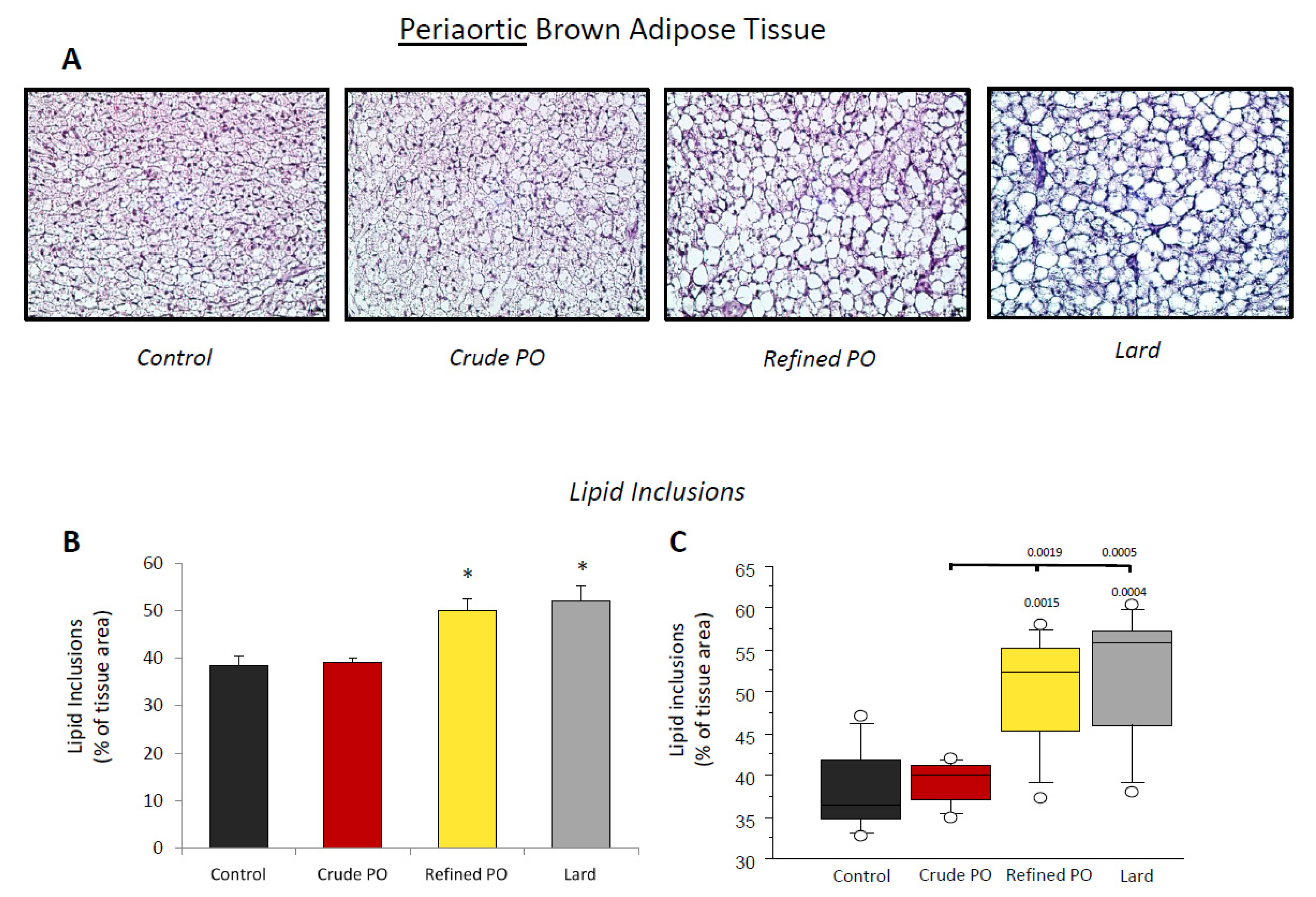 Nutrients 13 01134 g003 Nutrients 13 01134 g003