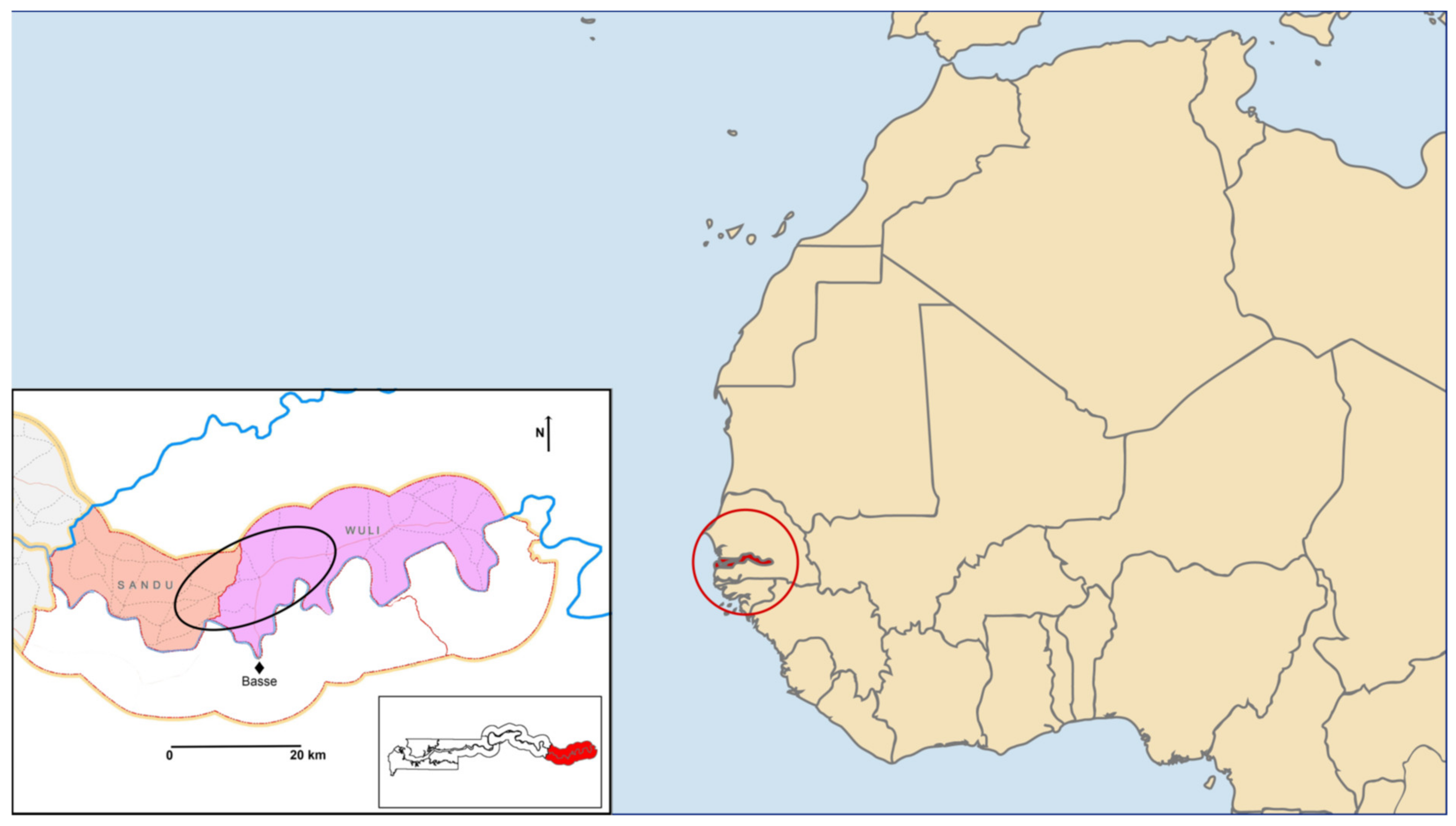 Nutrients 13 01140 g001 Nutrients 13 01140 g001