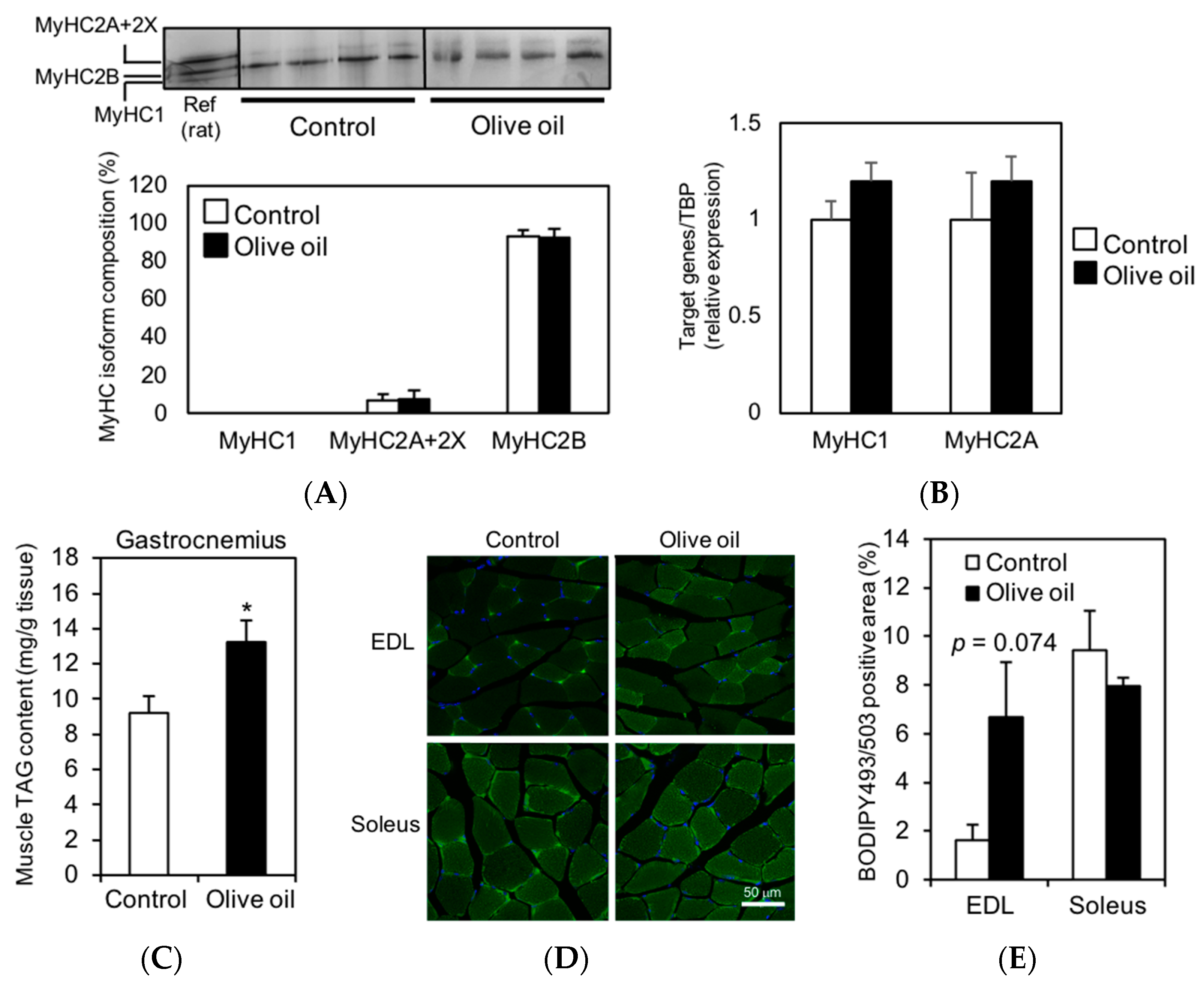 Nutrients 13 01164 g002 Nutrients 13 01164 g002