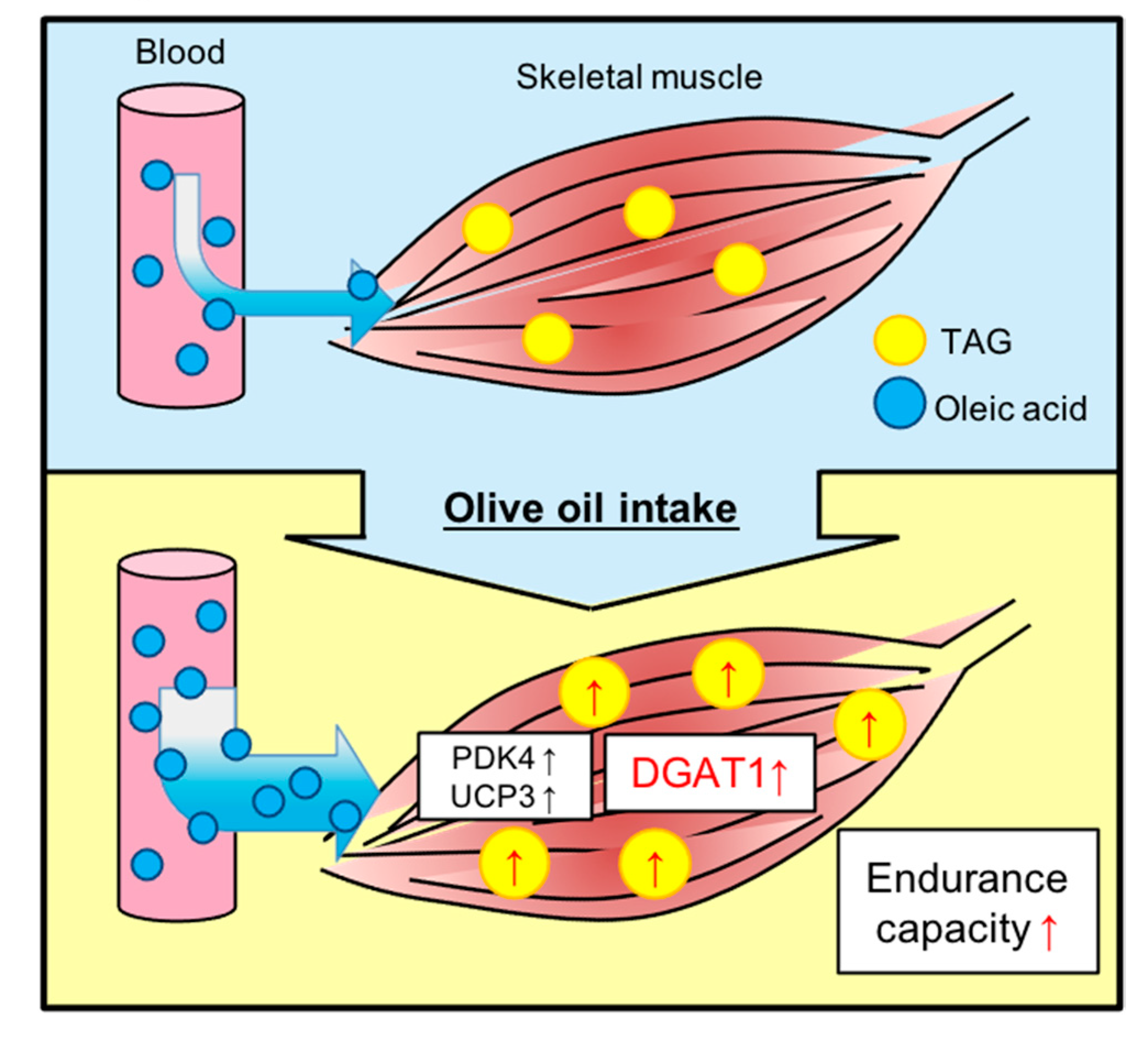 Nutrients 13 01164 g005 Nutrients 13 01164 g005