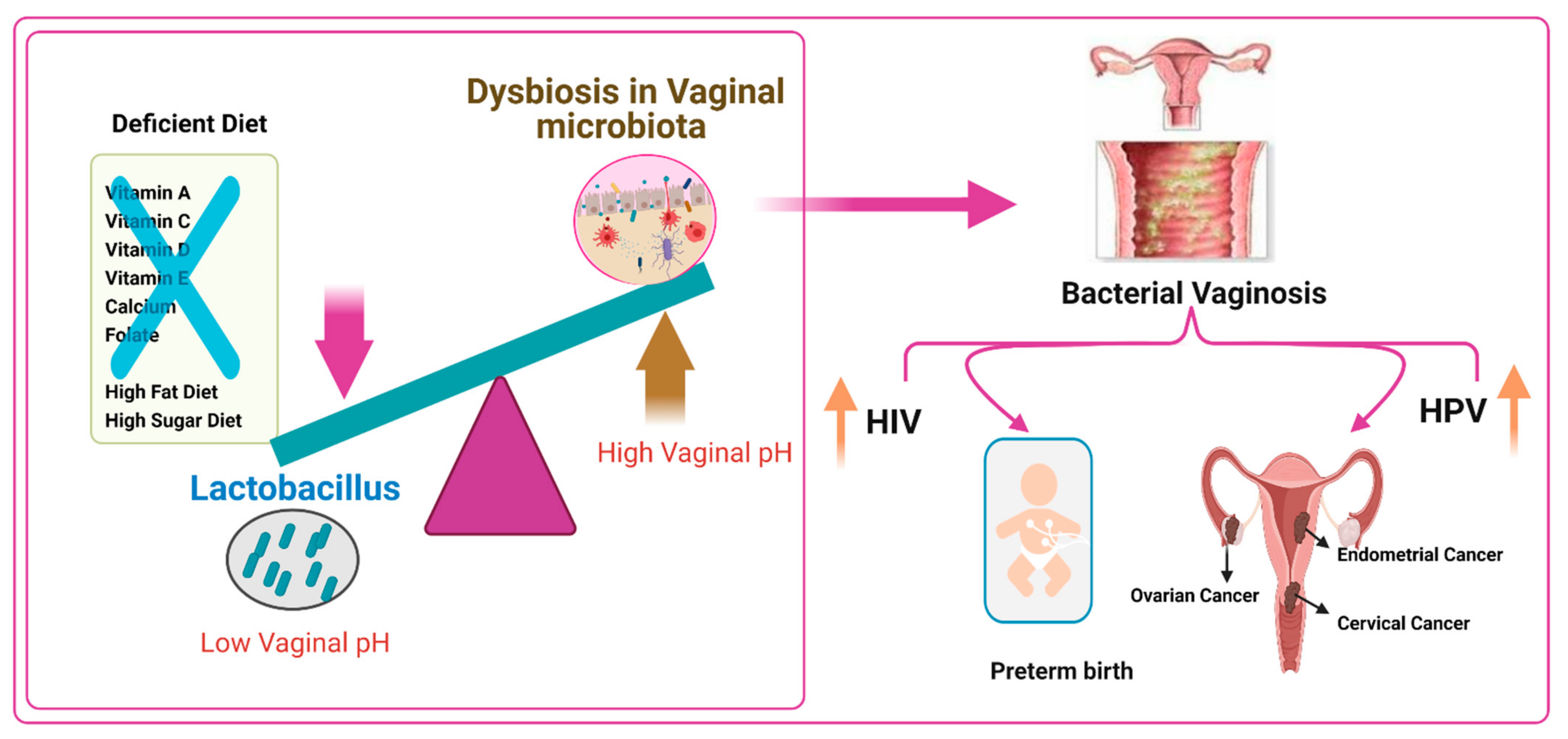 Nutrients Free Full-Text Nutrition in Gynecological Diseases Current Perspectives picture