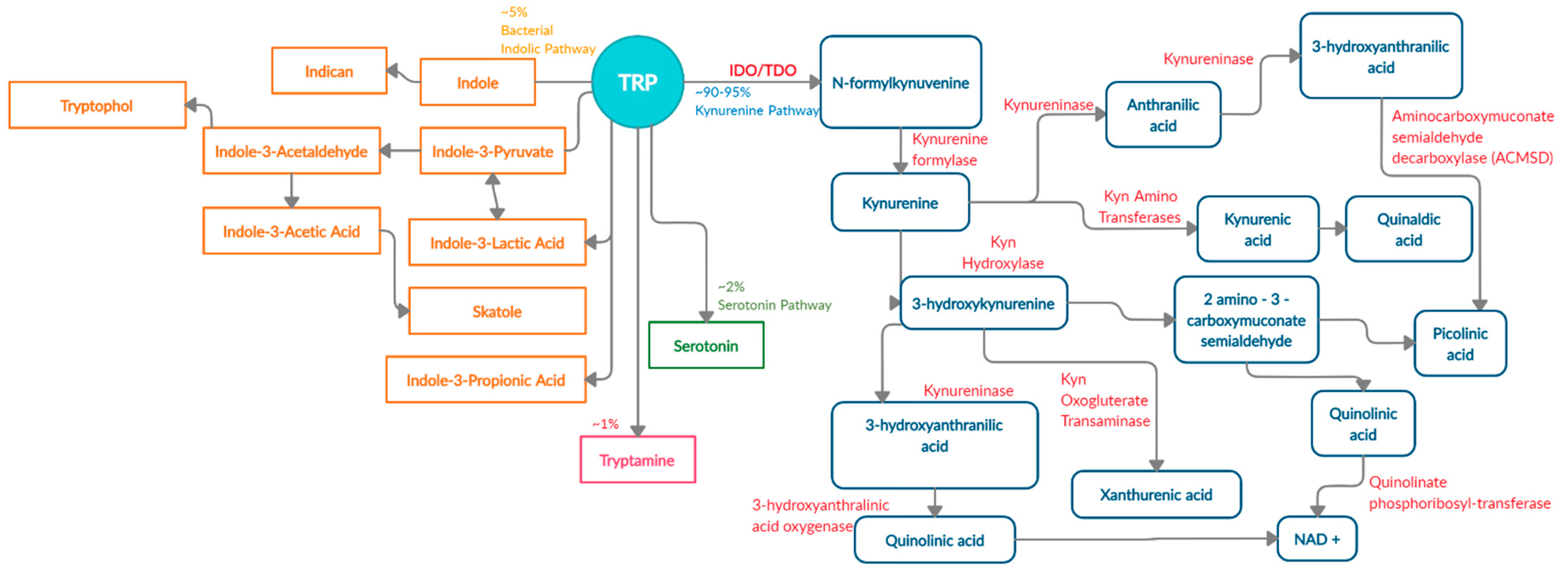 Nutrients 13 01189 g001 Nutrients 13 01189 g001