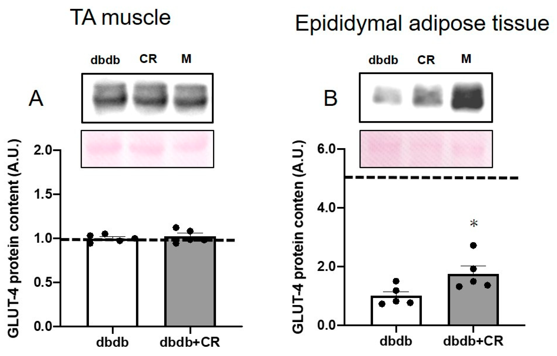 Nutrients 13 01190 g003 Nutrients 13 01190 g003
