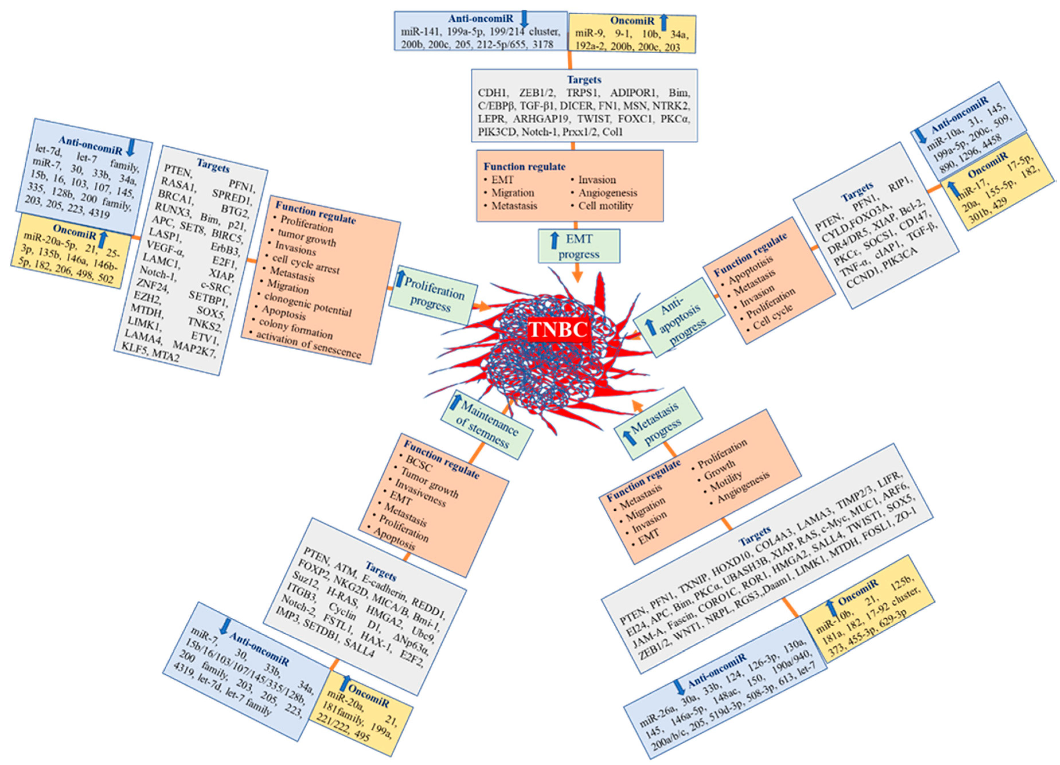 Nutrients Free Full Text The Anticancer Effects Of Flavonoids Through Mirnas Modulations In Triple Negative Breast Cancer Html Nutrients Free Full Text The Anticancer Effects Of Flavonoids Through Mirnas Modulations In Triple Negative Breast Cancer Html