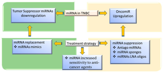 キヨミ The Anticancer Effects of Flavonoids through miRNAs