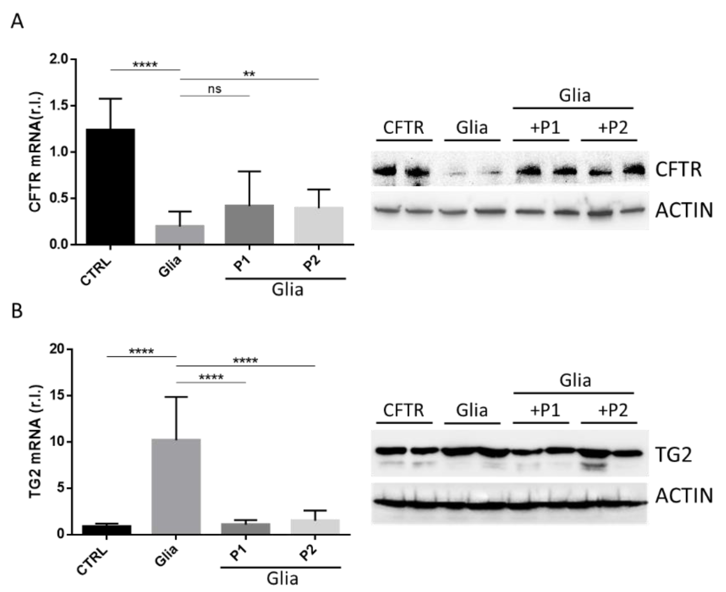 Nutrients 13 01221 g001 Nutrients 13 01221 g001