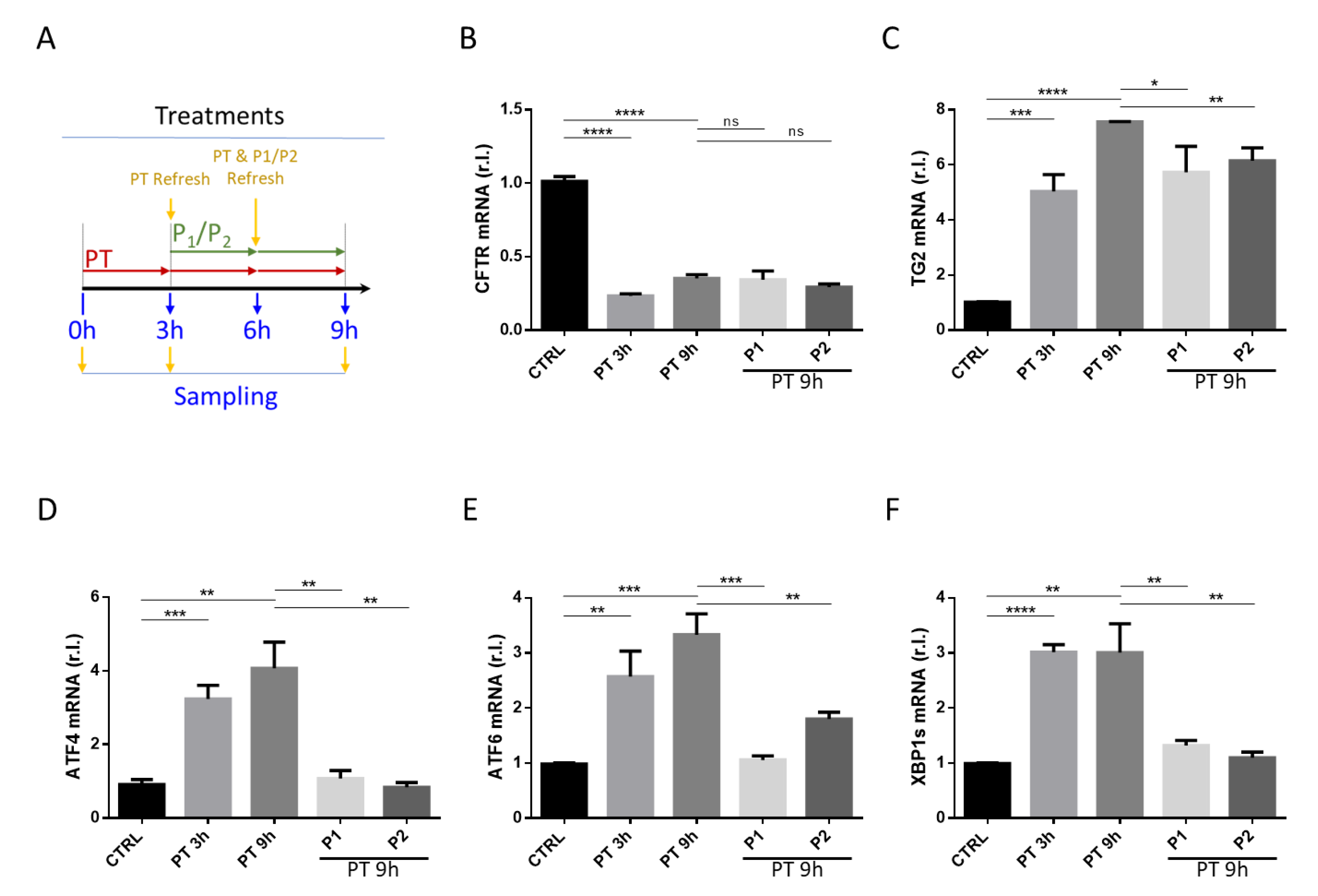 Nutrients 13 01221 g005 Nutrients 13 01221 g005