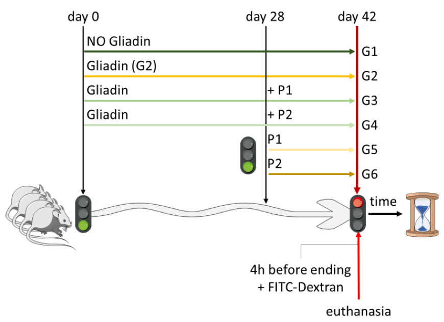 Nutrients 13 01221 i001 Nutrients 13 01221 i001