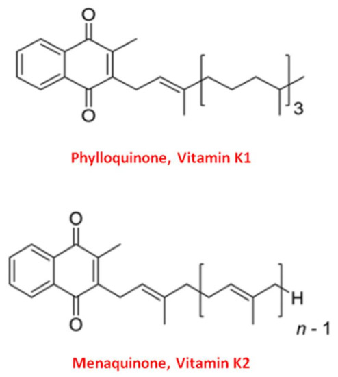 The Dual Role of Vitamin K2 in “Bone-Vascular Crosstalk