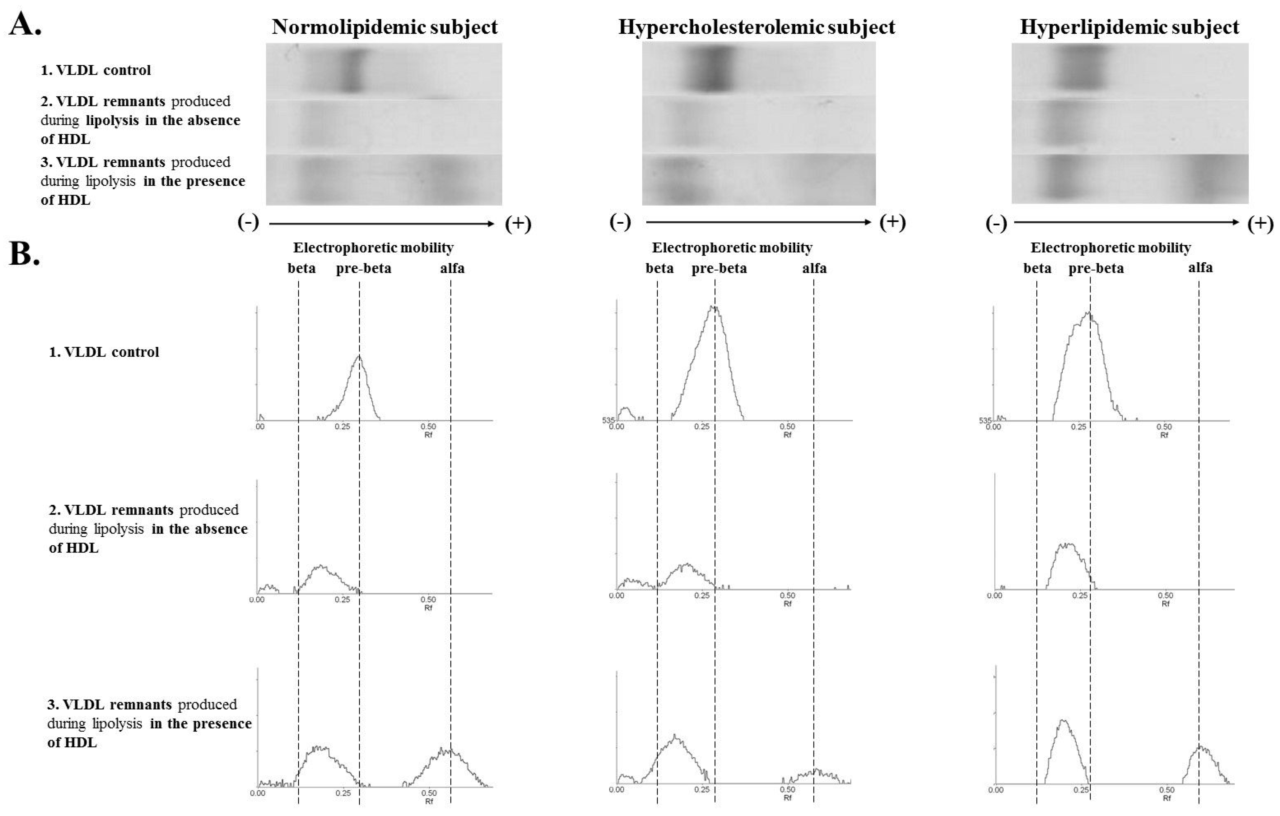Nutrients 13 01224 g003 Nutrients 13 01224 g003