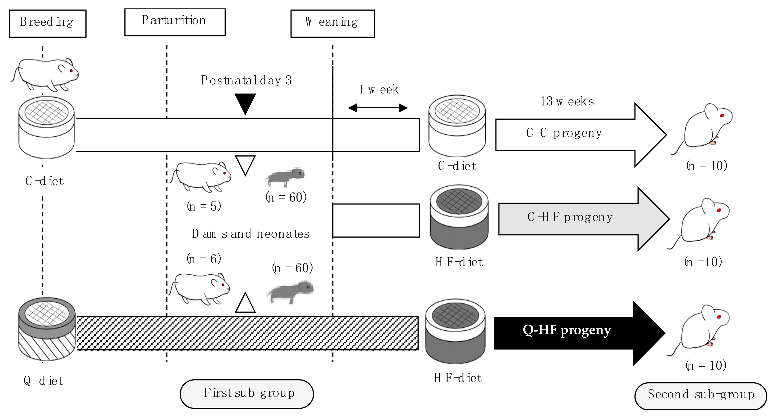 Nutrients 13 01242 g001