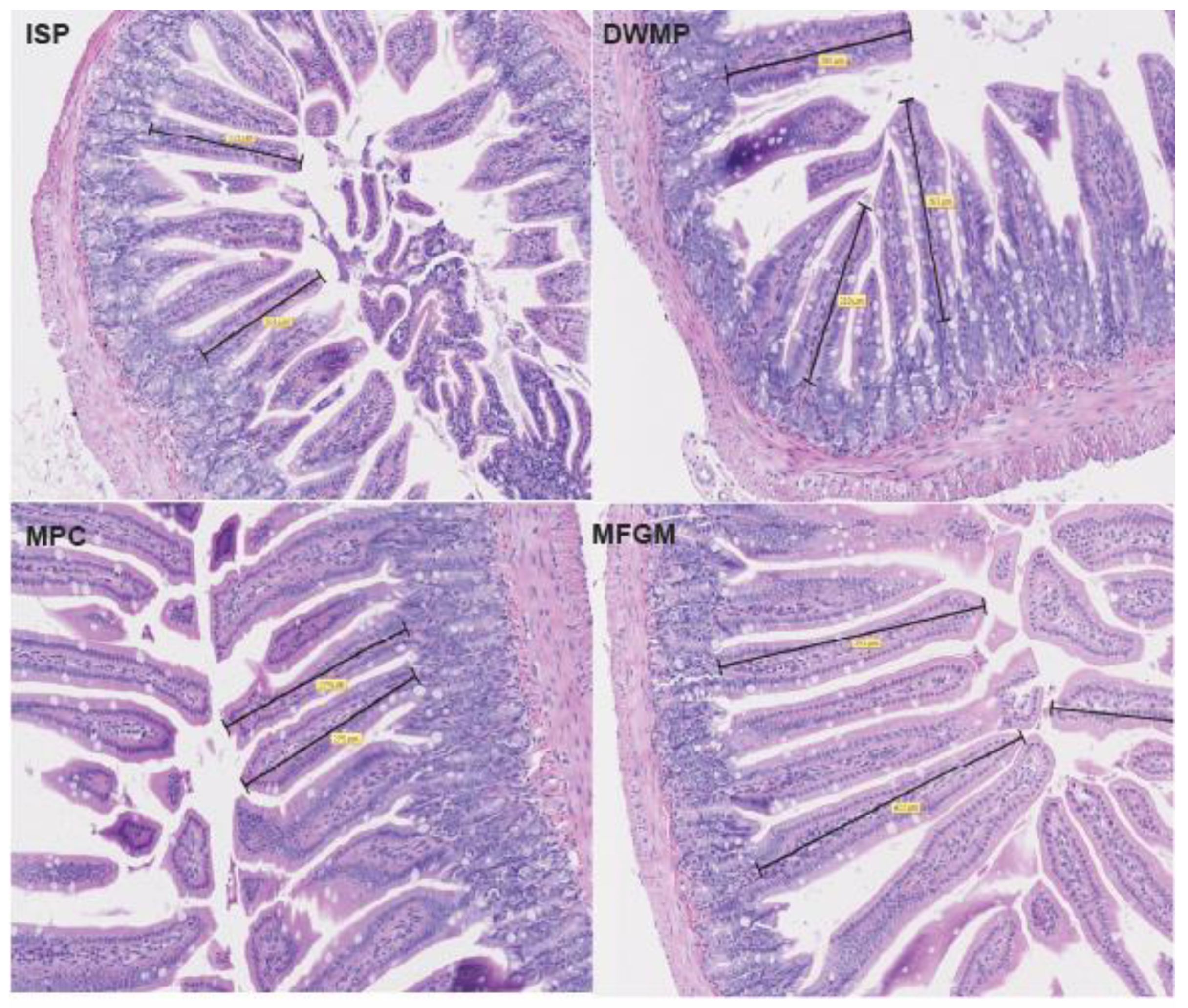 Nutrients 13 01251 g001 Nutrients 13 01251 g001