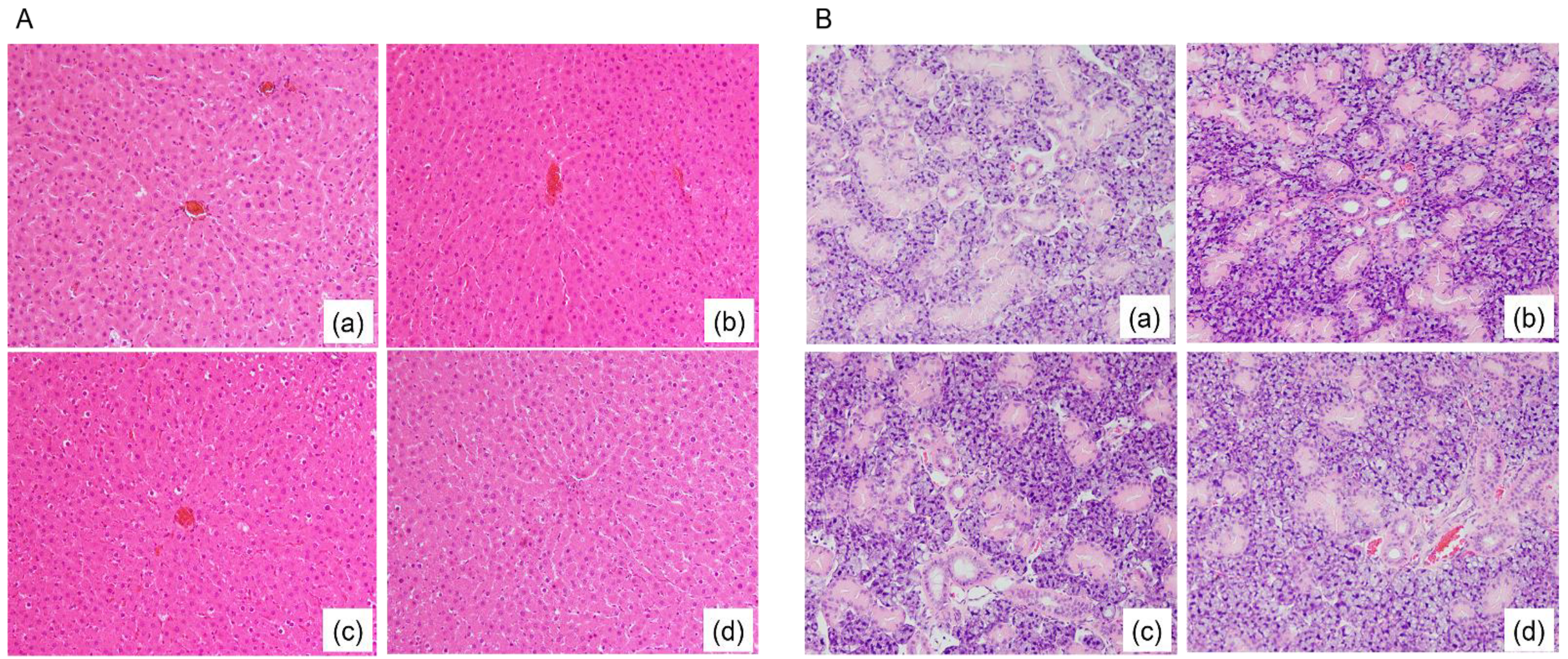 Nutrients 13 01252 g001 Nutrients 13 01252 g001
