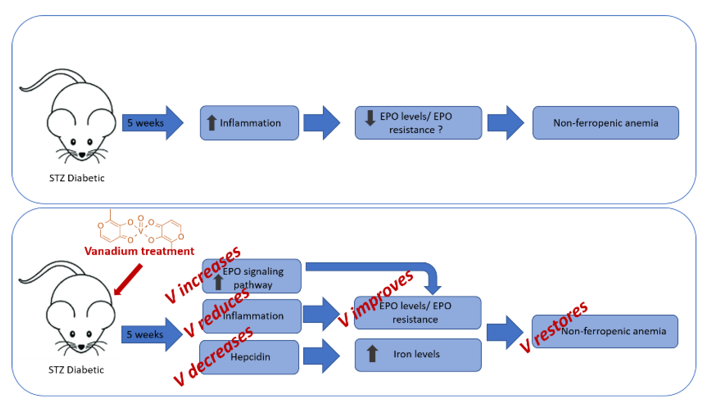 Nutrients 13 01256 g003 Nutrients 13 01256 g003