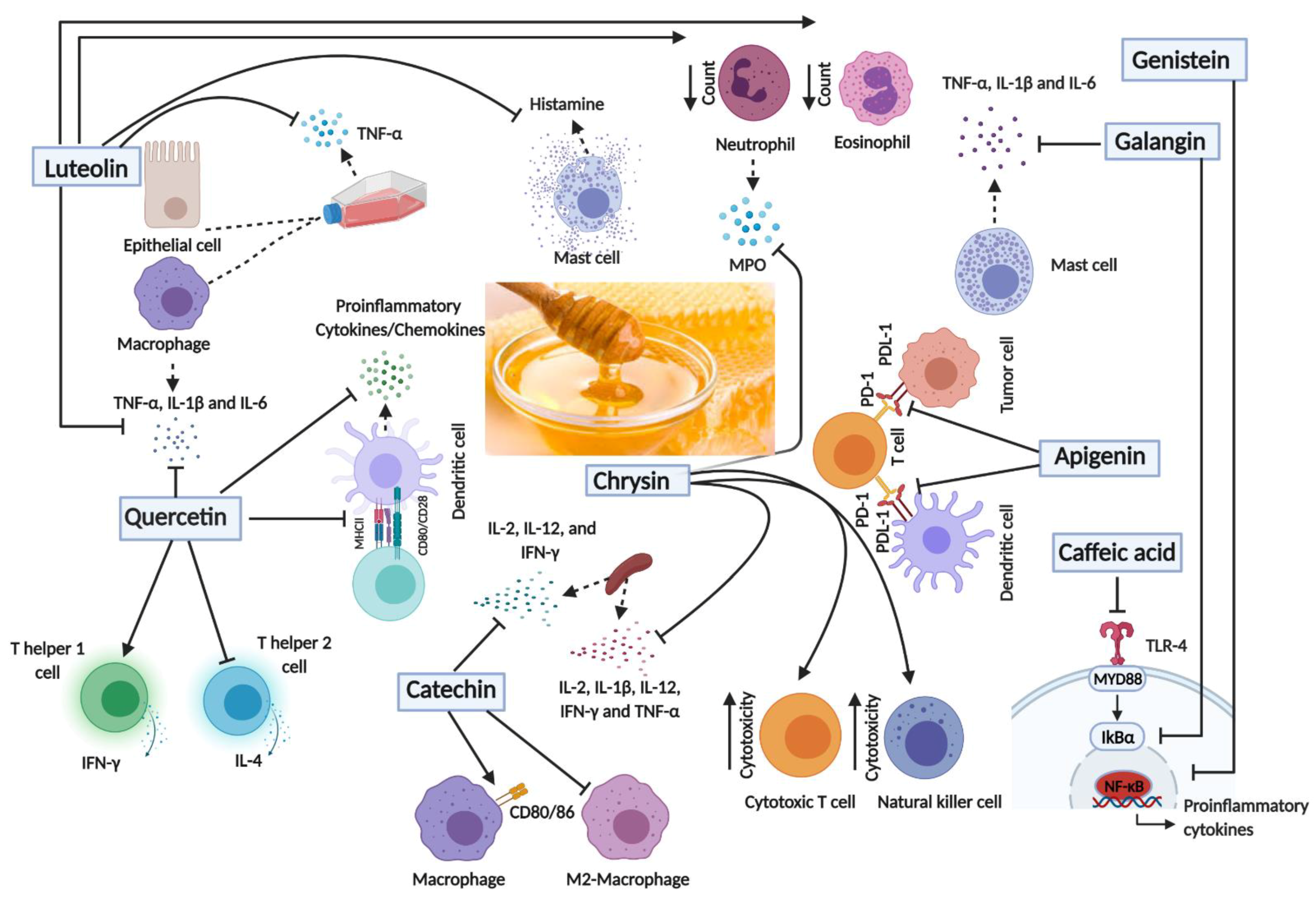 Nutrients 13 01269 g003 Nutrients 13 01269 g003