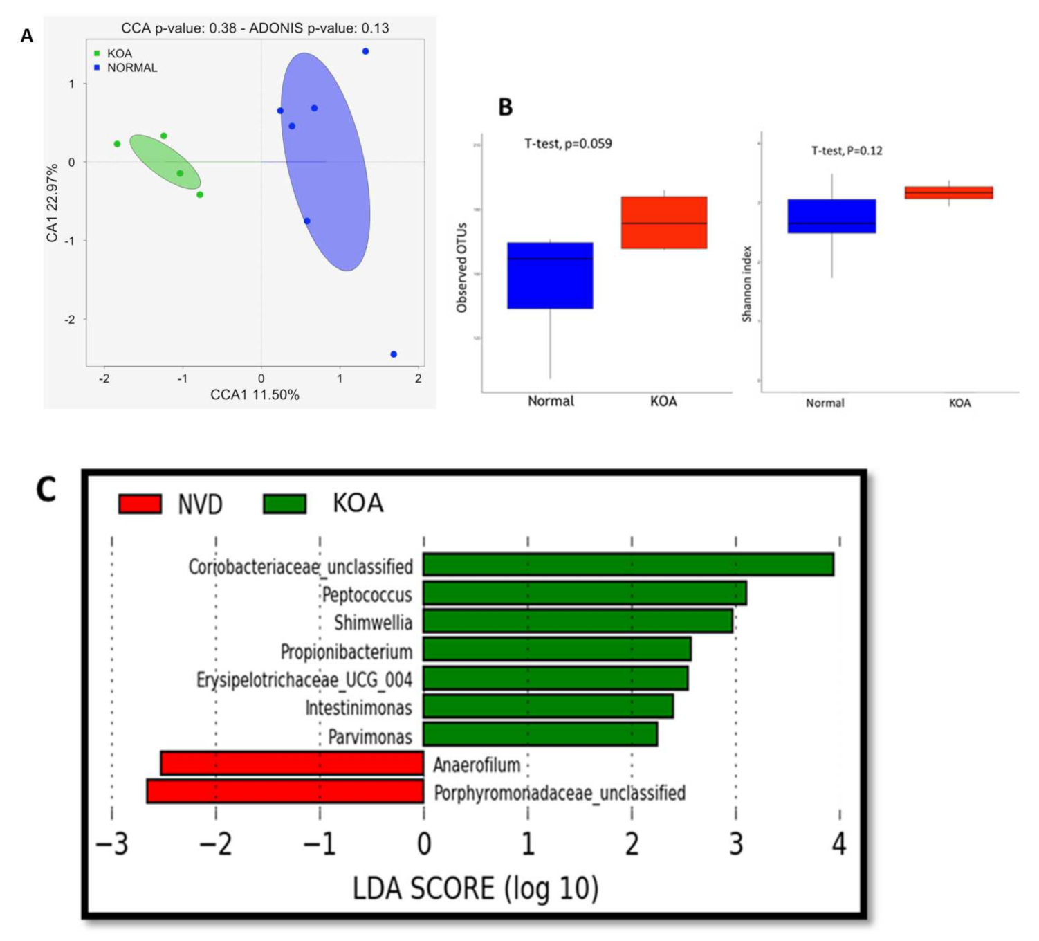 Nutrients 13 01272 g002 Nutrients 13 01272 g002