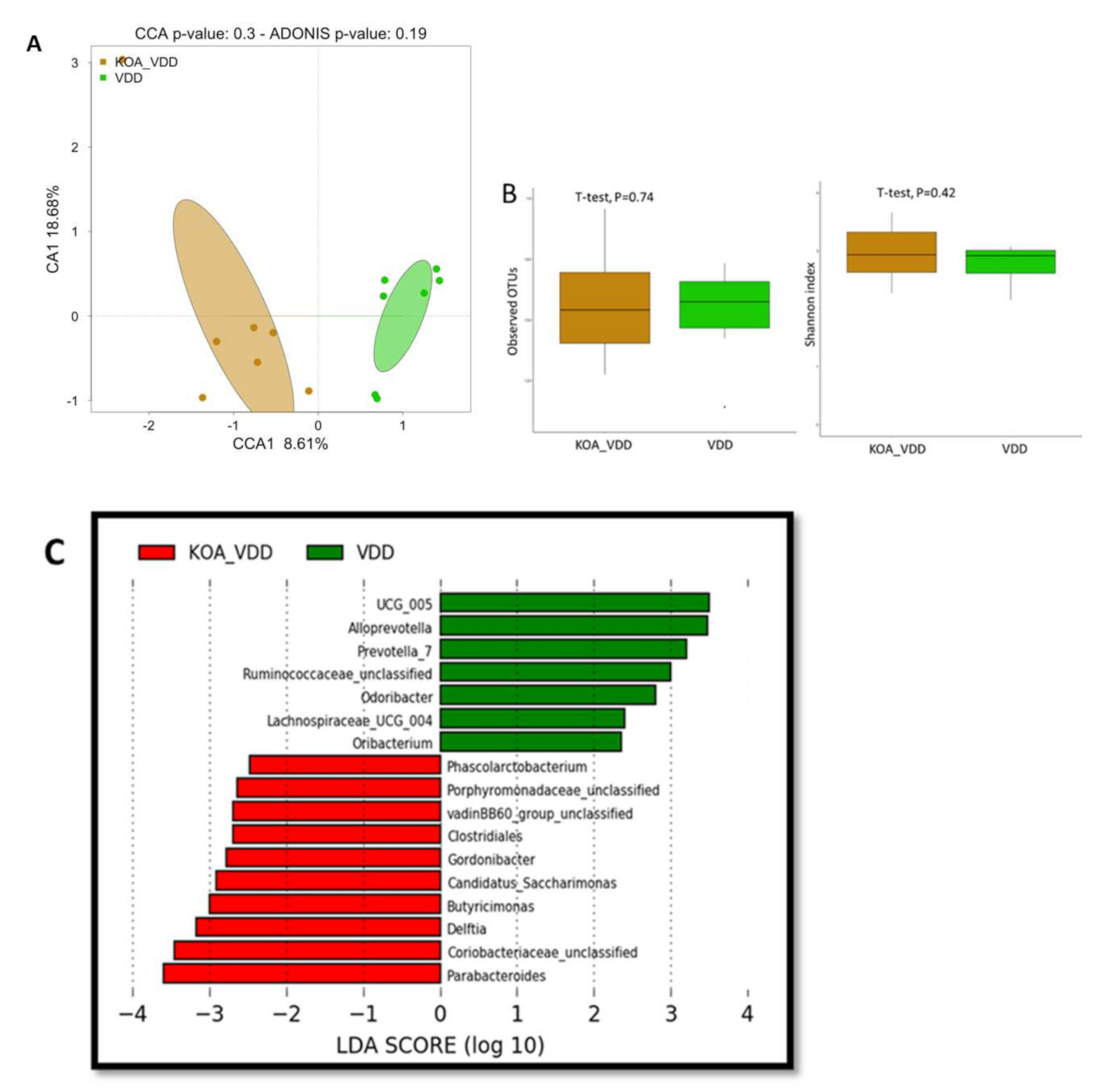 Nutrients 13 01272 g003 Nutrients 13 01272 g003