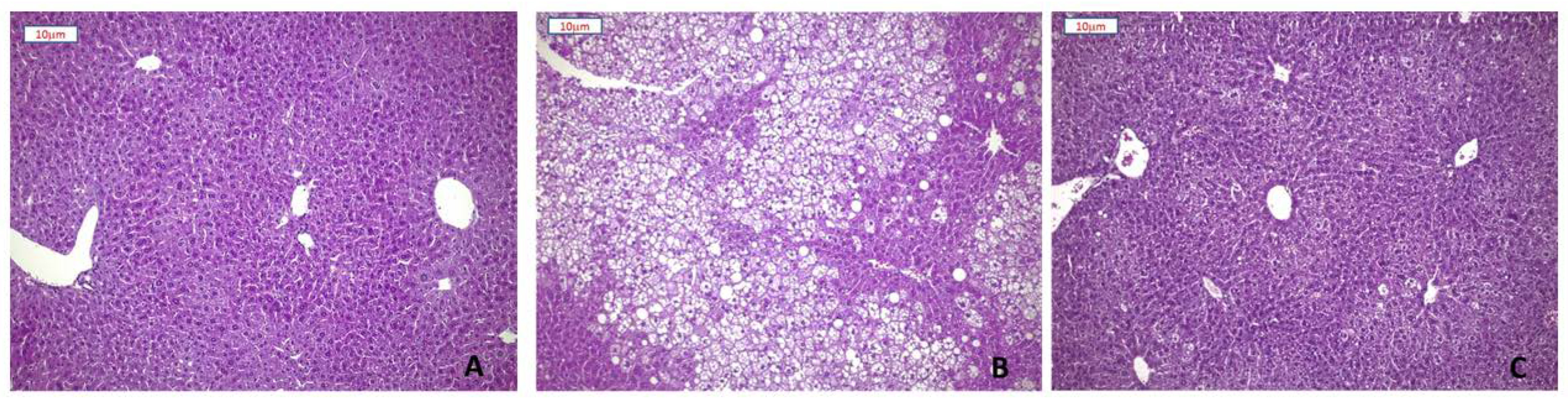Nutrients 13 01281 g003