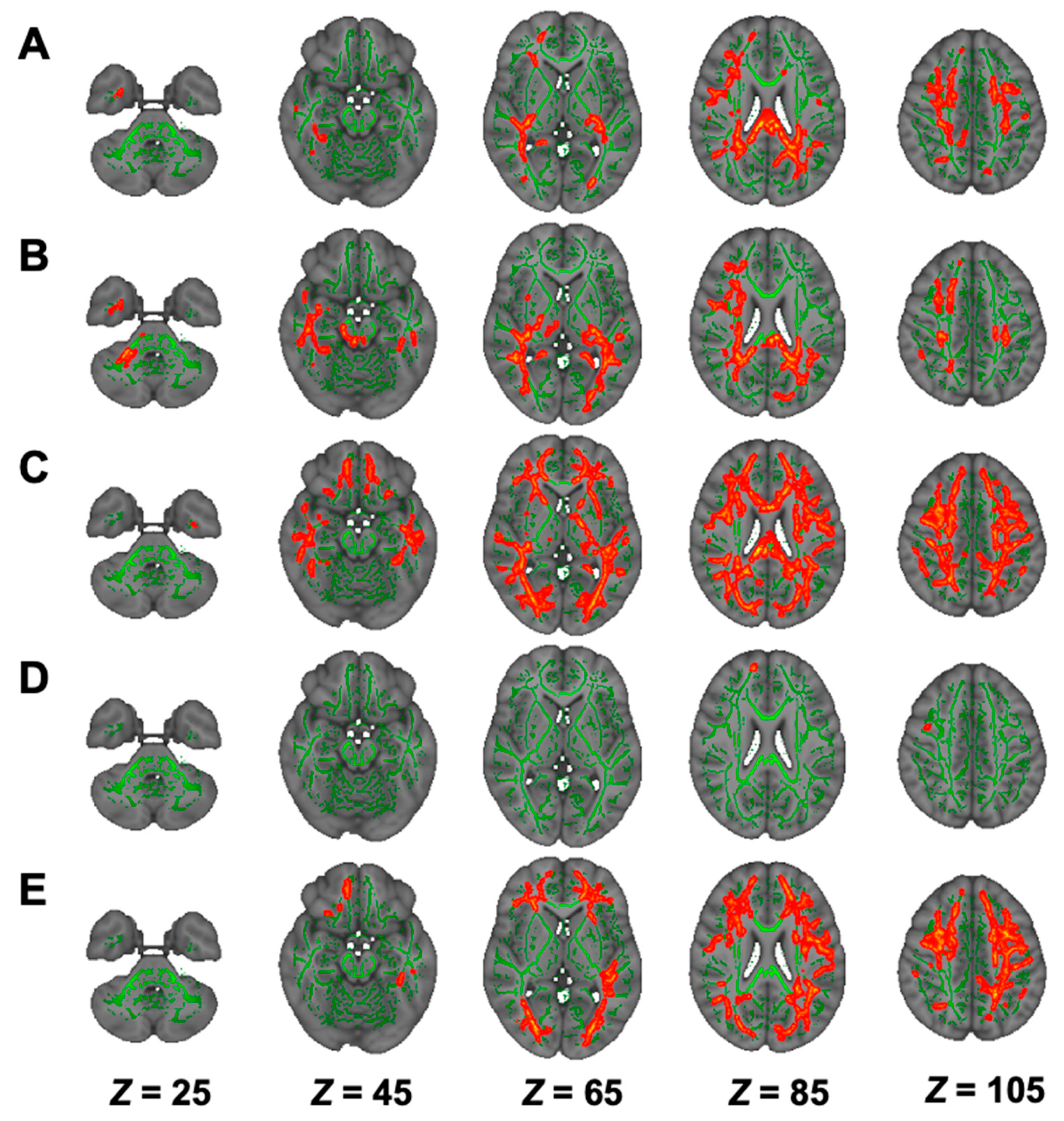 Nutrients 13 01292 g004 Nutrients 13 01292 g004