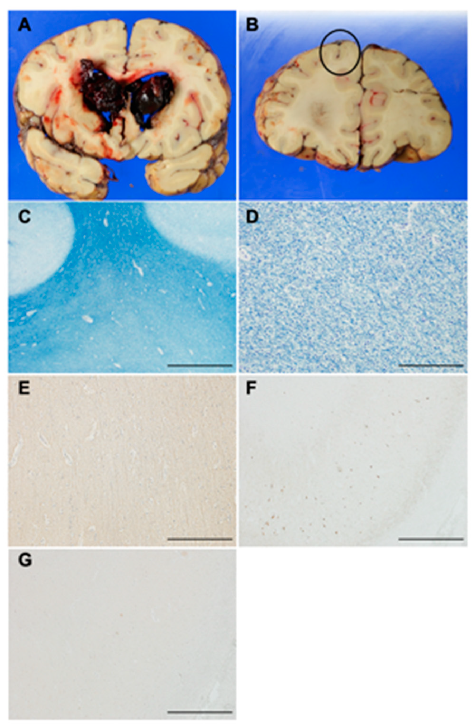 Nutrients 13 01292 g006 Nutrients 13 01292 g006