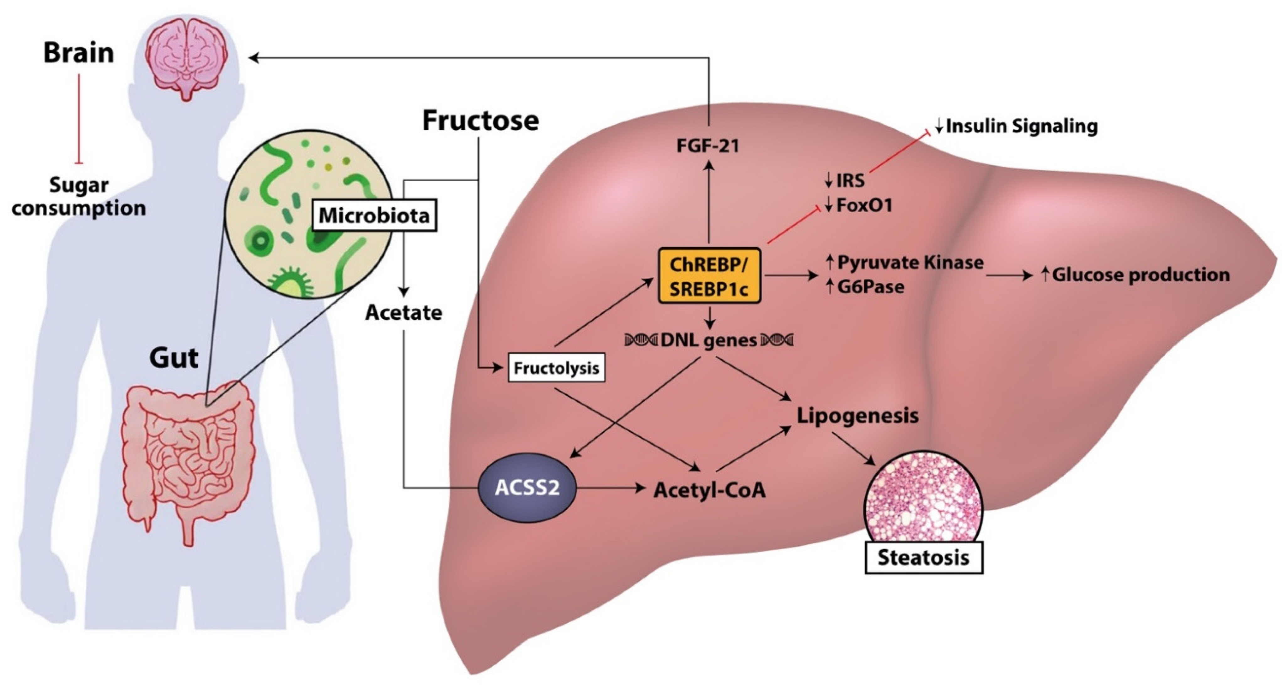 Nutrients 13 01314 g002