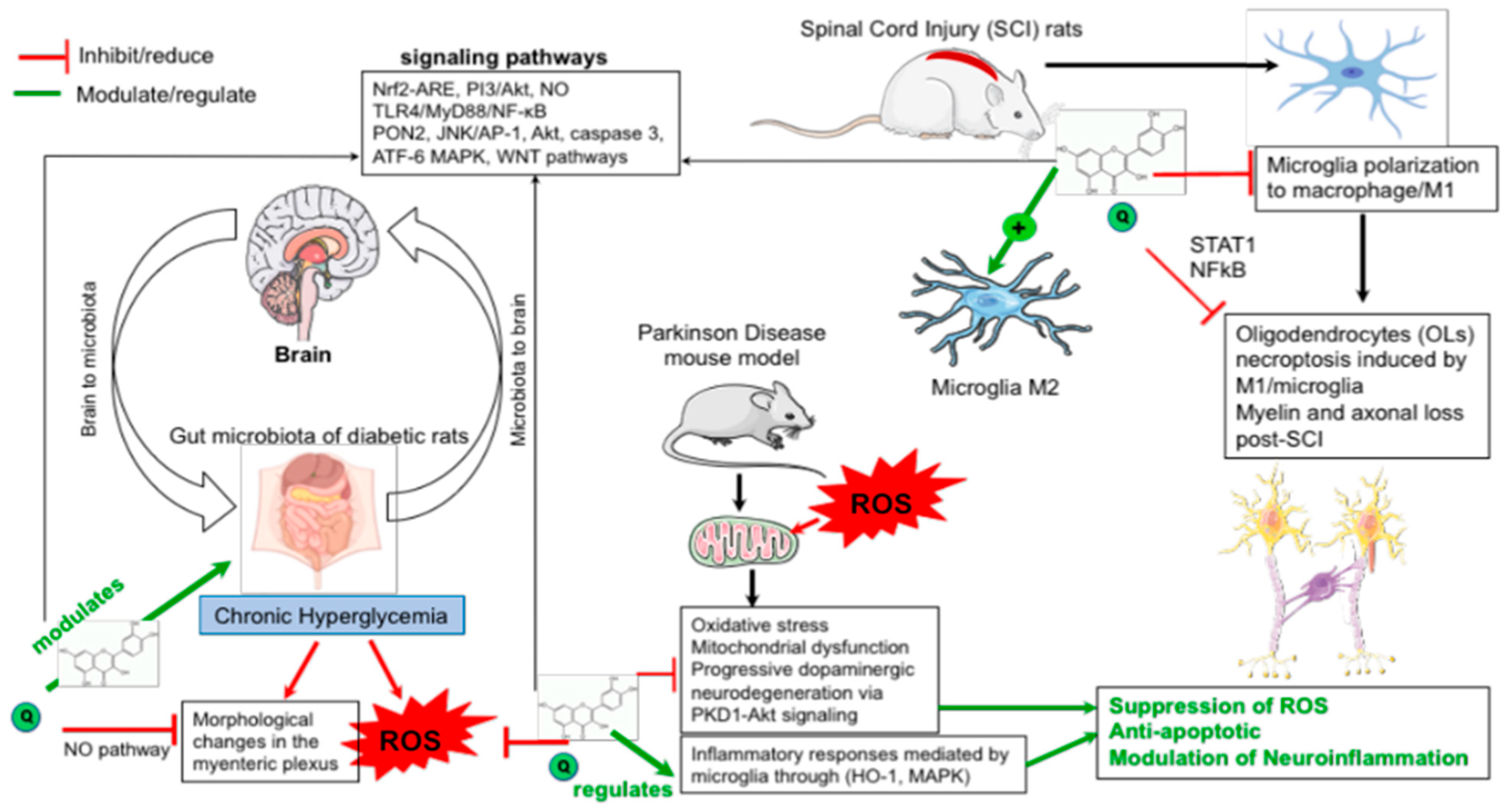Nutrients 13 01318 g001