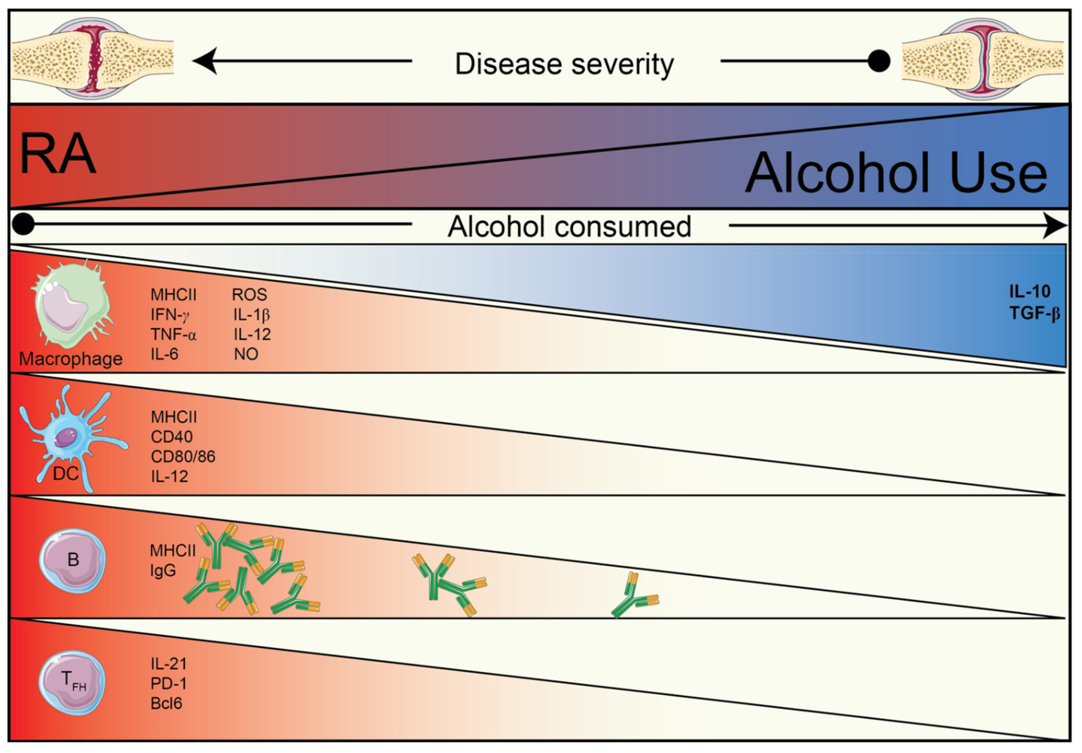 Nutrients 13 01324 g001 Nutrients 13 01324 g001