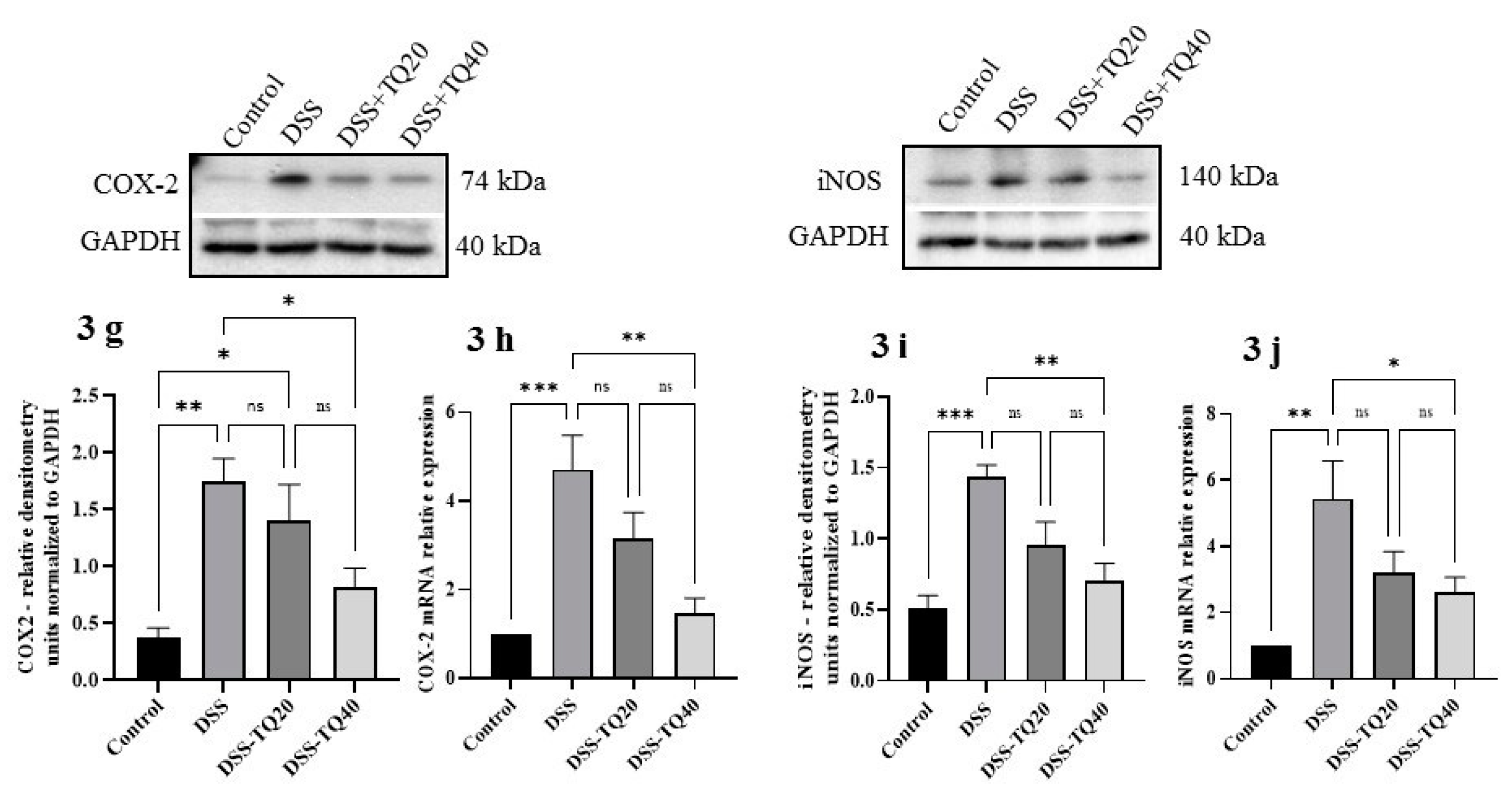 Nutrients 13 01343 g003b Nutrients 13 01343 g003b