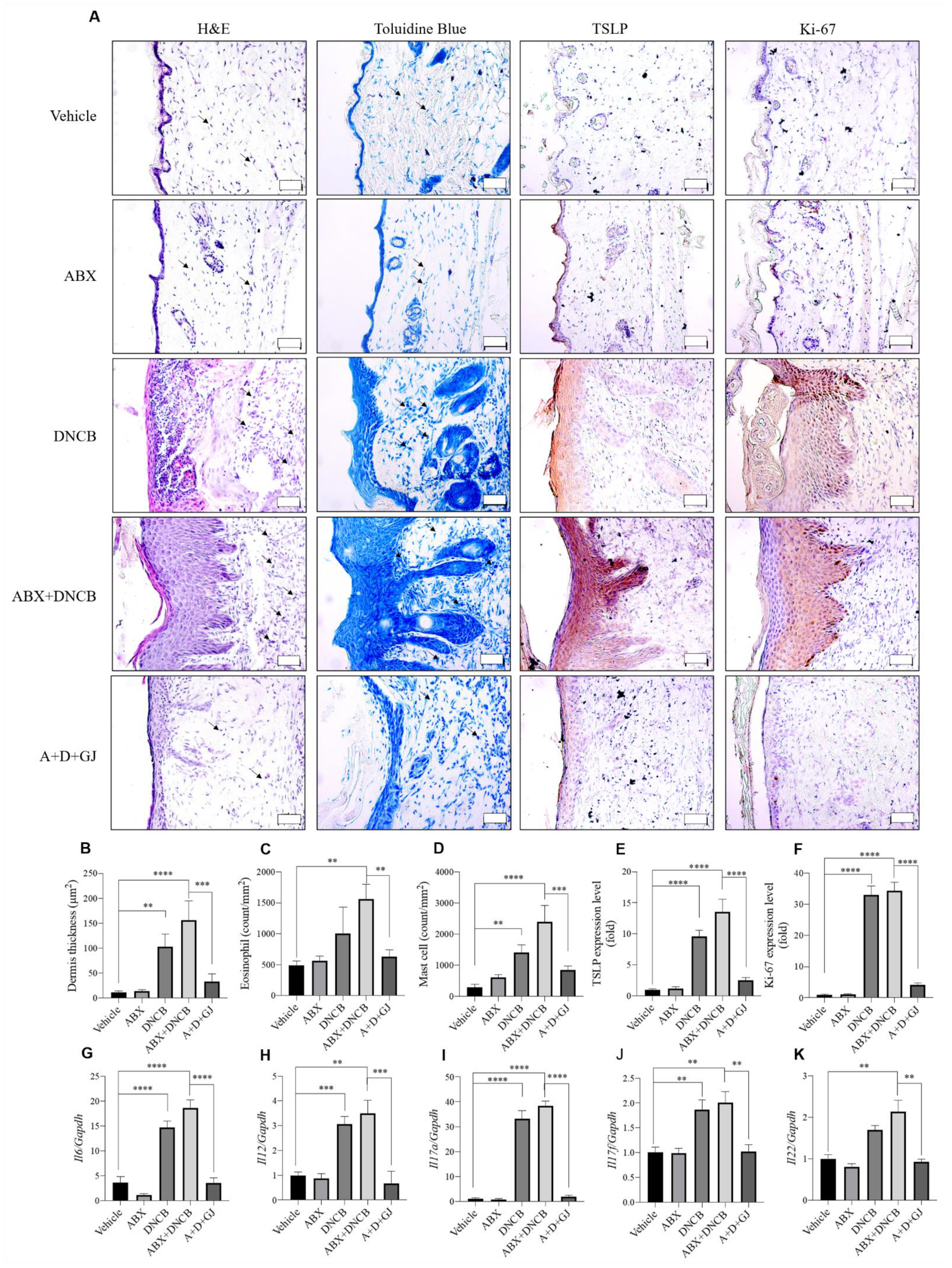 Nutrients 13 01349 g004 Nutrients 13 01349 g004
