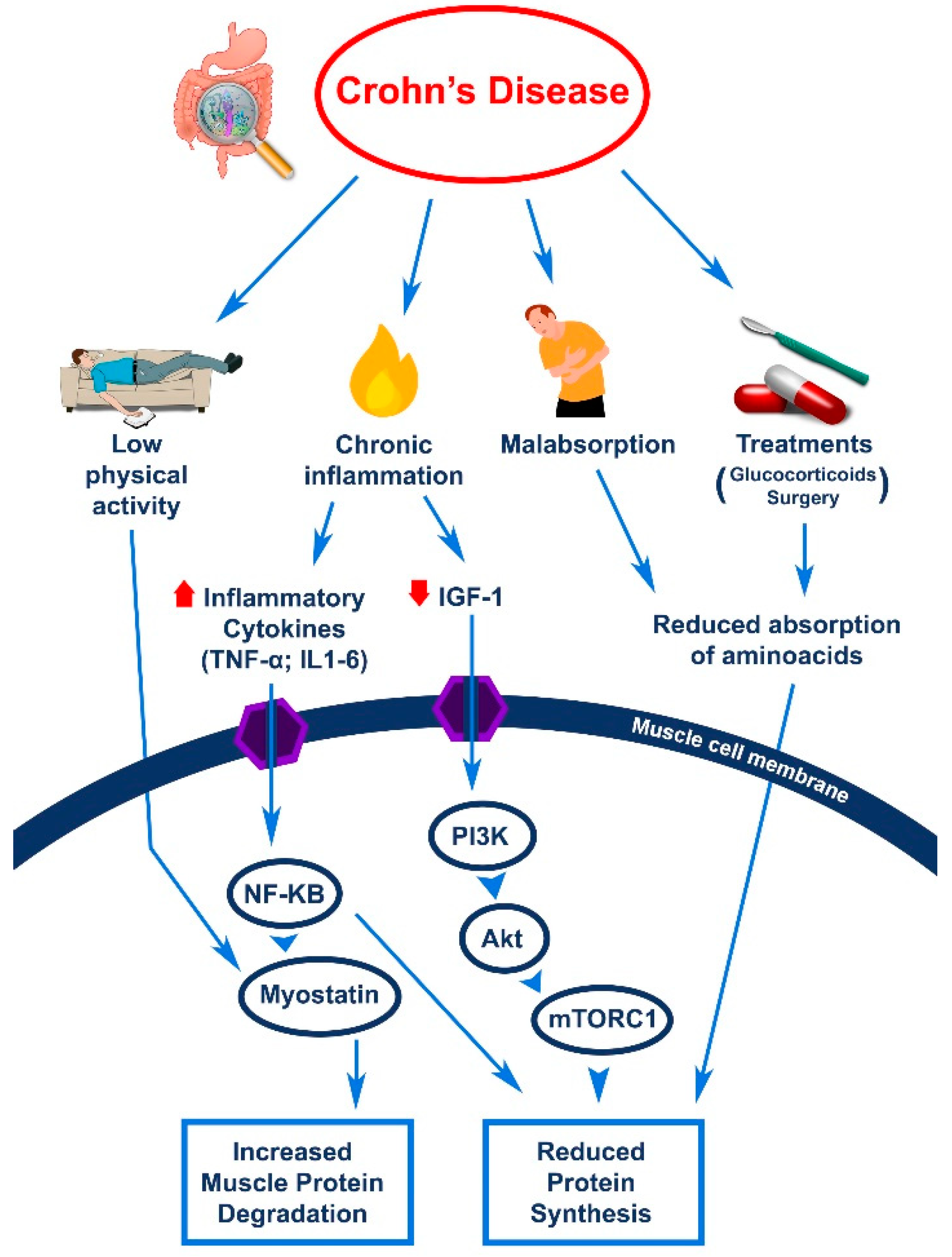 Nutrients 13 01378 g001 Nutrients 13 01378 g001