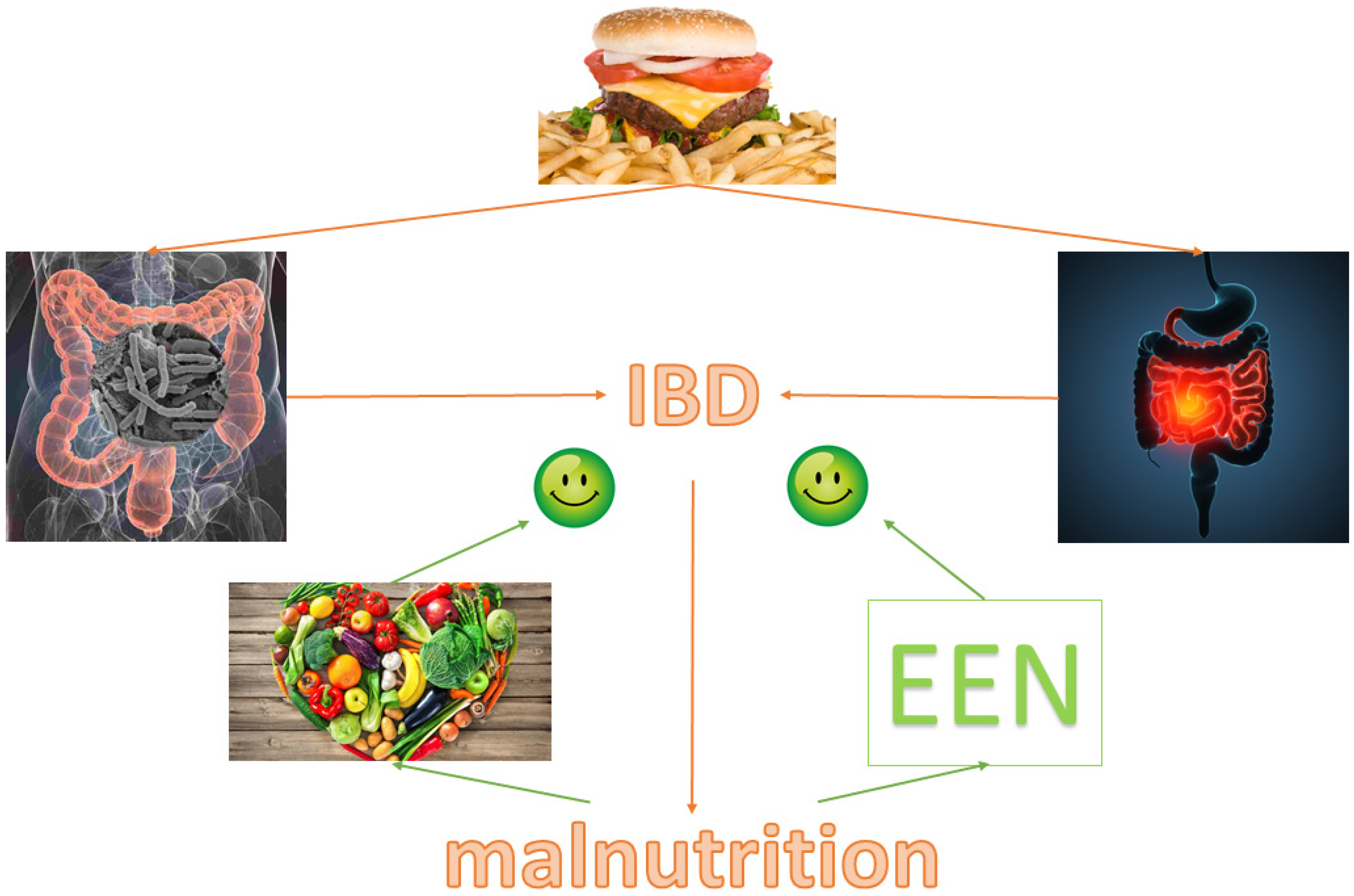 Nutrients Free Full Text Inflammatory Bowel Diseases Is There A Role For Nutritional Suggestions Html