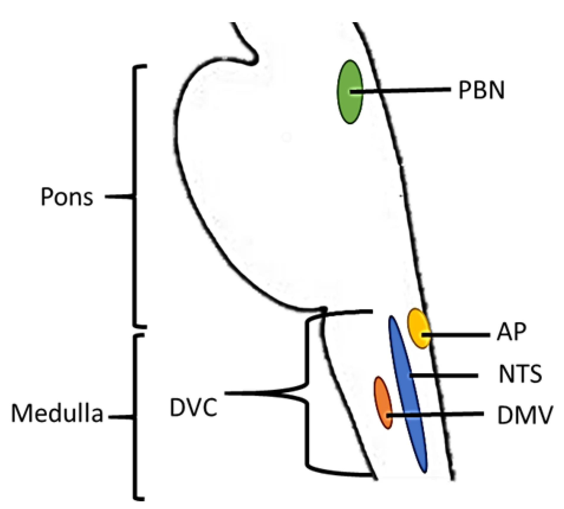 Nutrients 13 01391 g003
