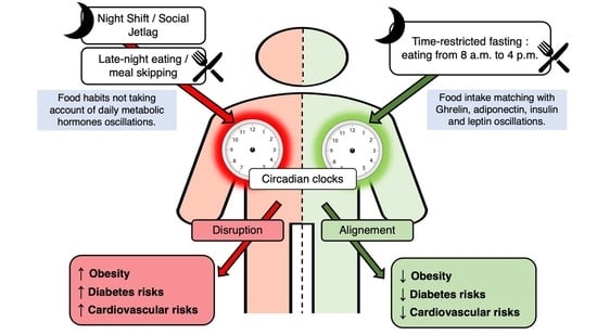 Nutrients | Free Full-Text | Beneficial Effects of Early Time-Restricted Feeding on Metabolic Diseases: Importance of Aligning Food Habits with the Circadian Clock